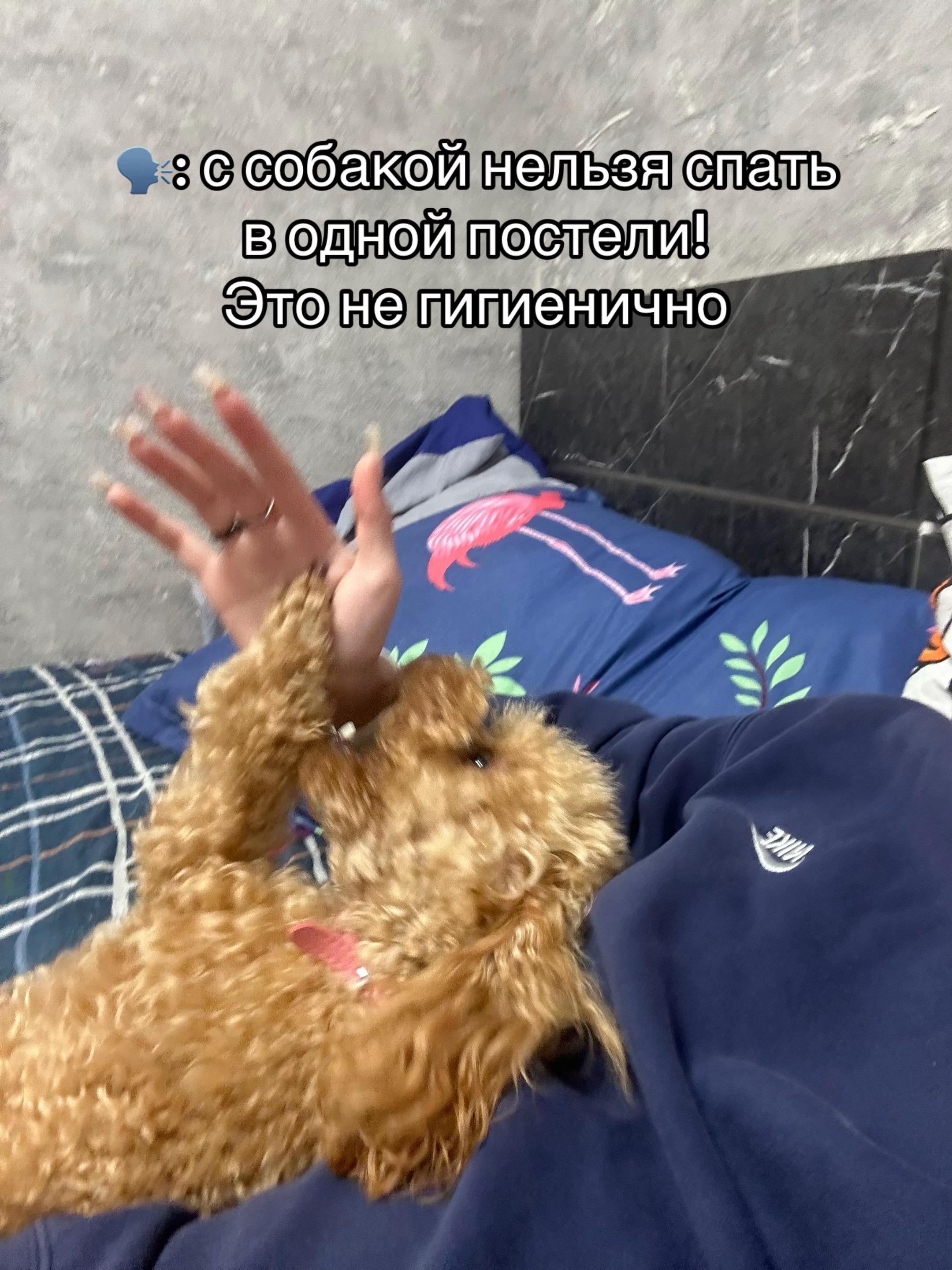 @DEMFY🫟