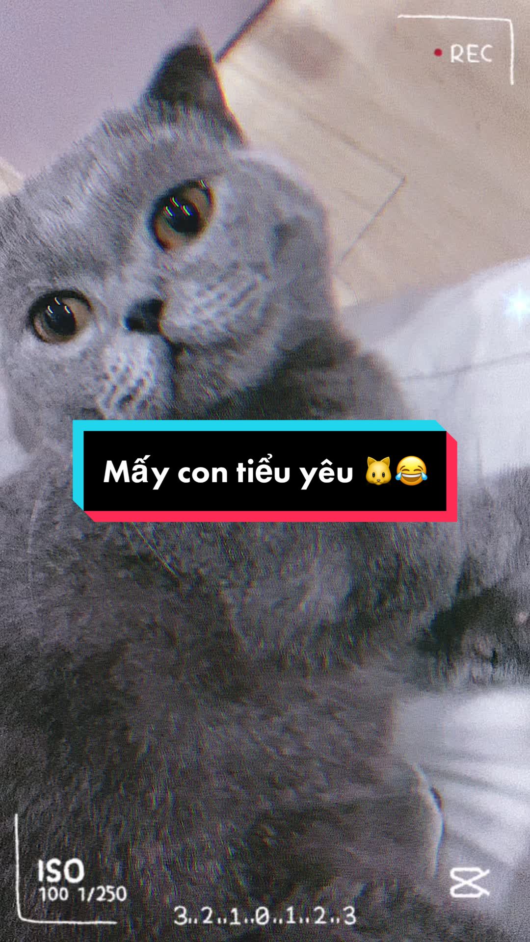 @Việt Hùng