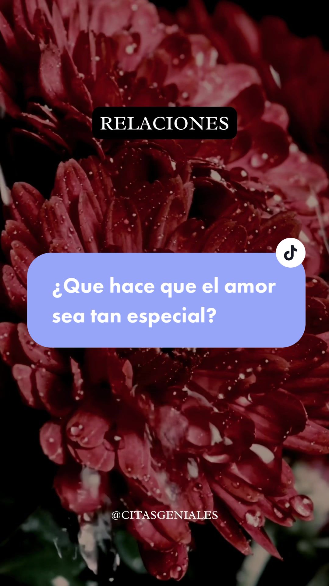 @Citas Geniales