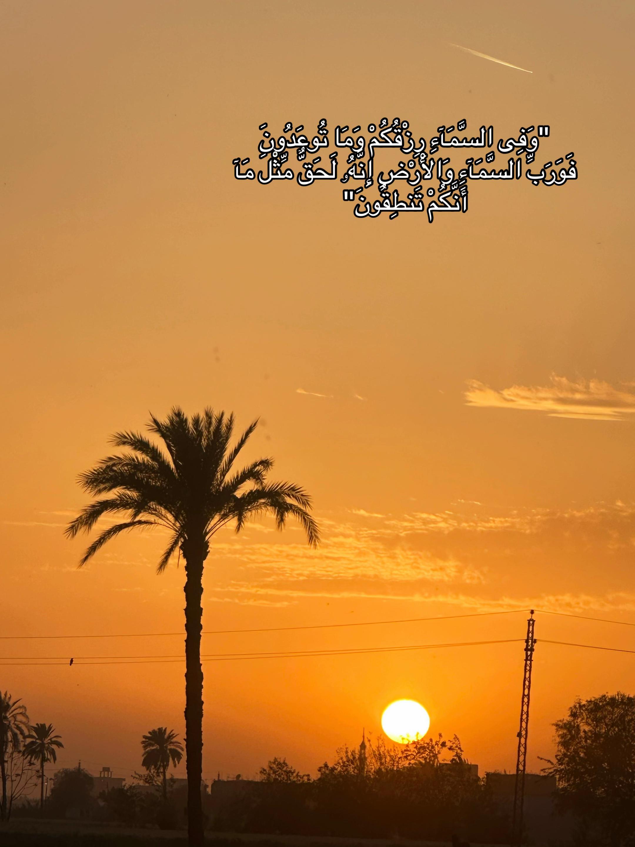 @🇸🇦&Ecirc;Mŷ🇪🇬