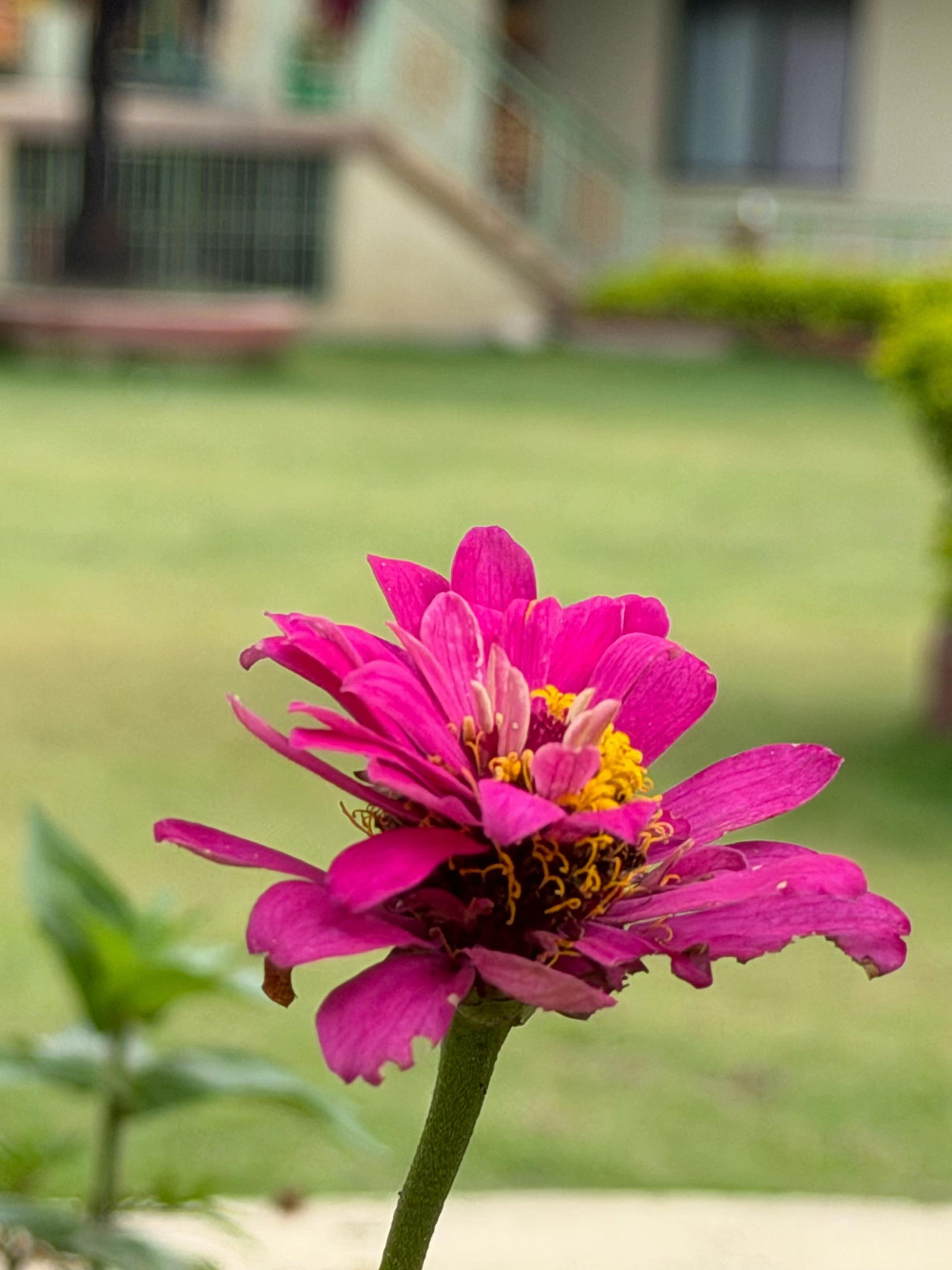 @buchung_norbu_la