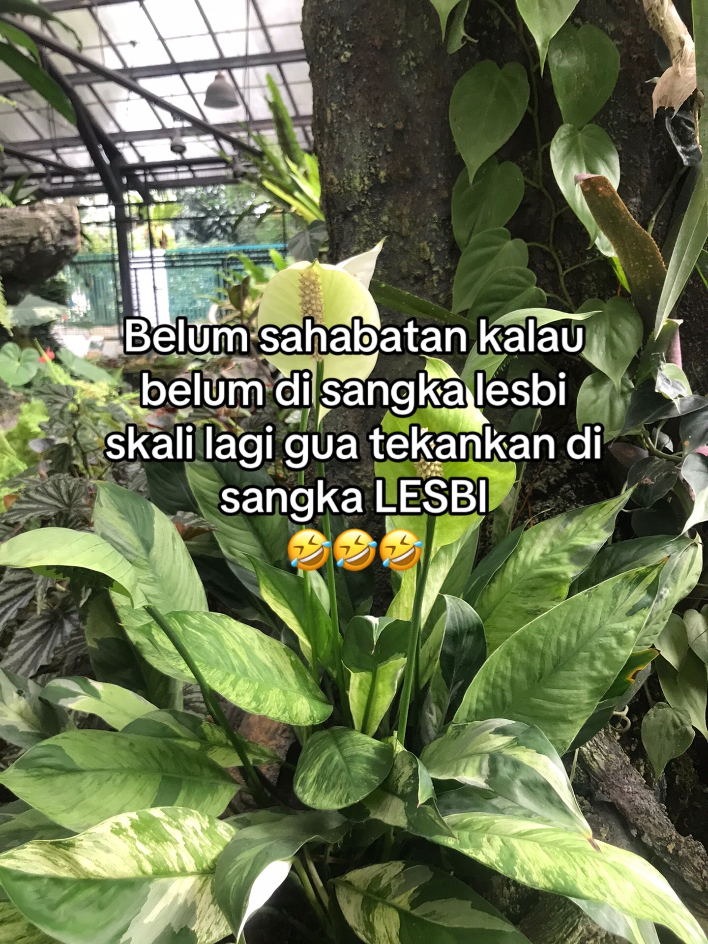 @🐣
