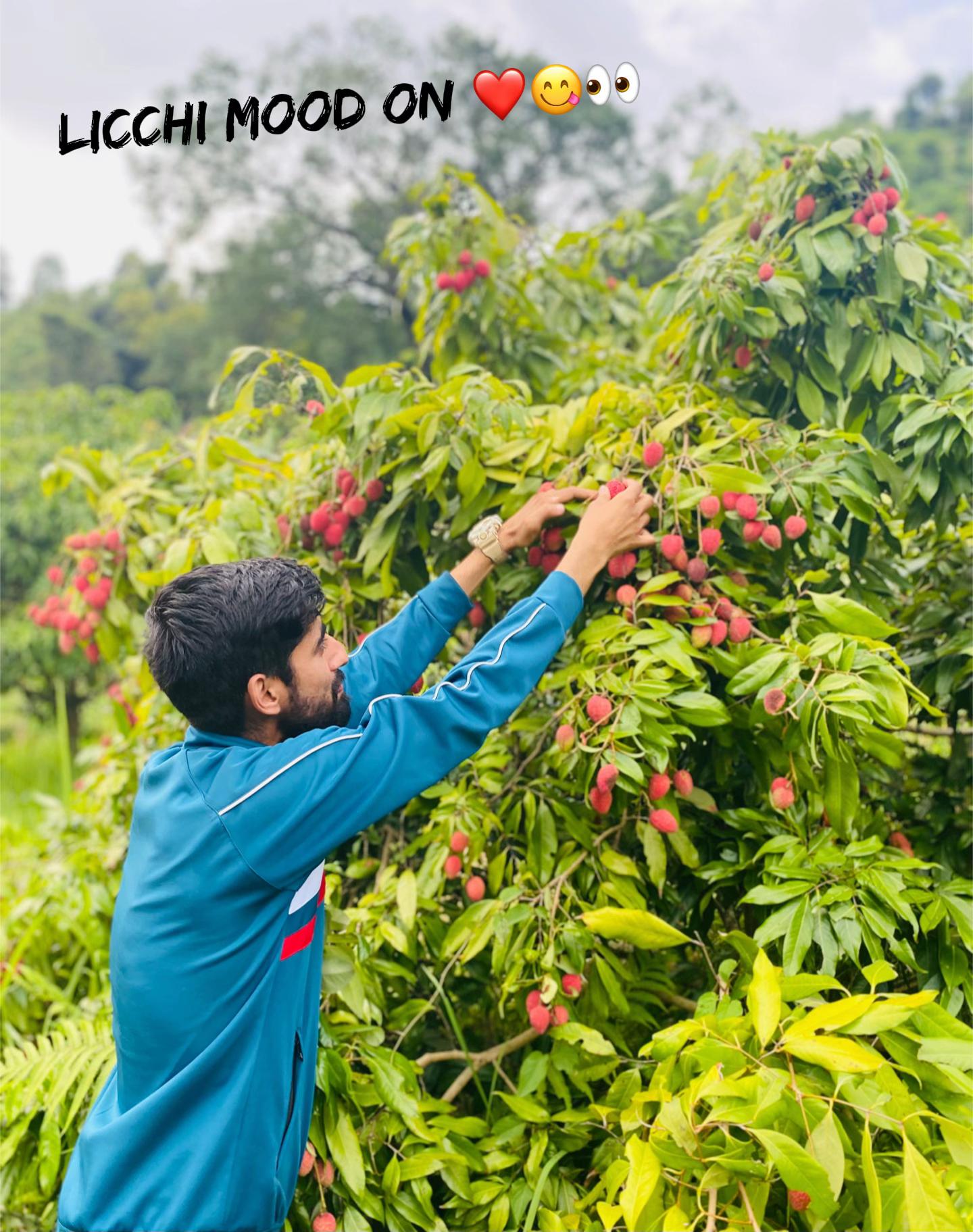 @Niroj Aryal