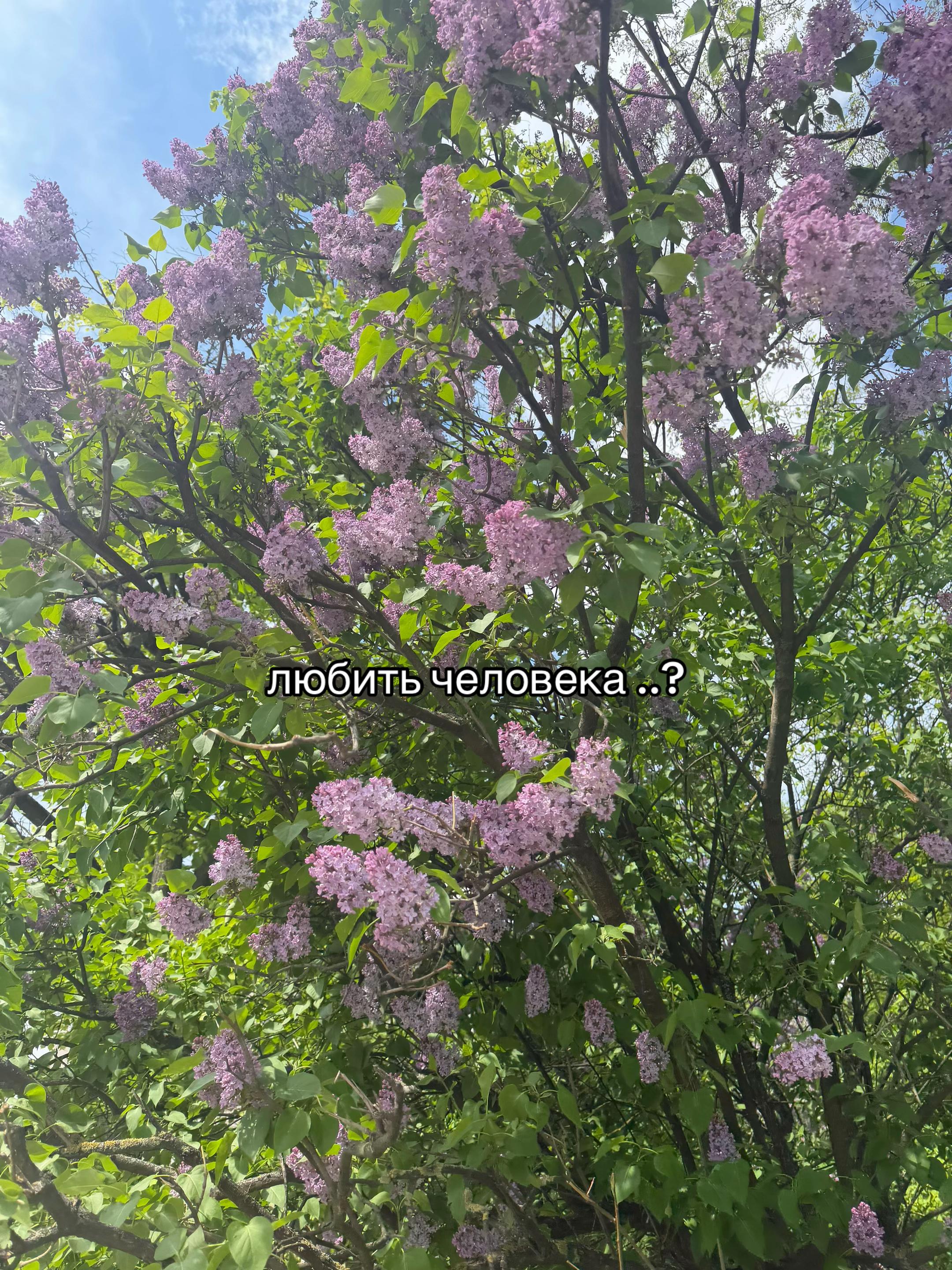 @m.nastiks