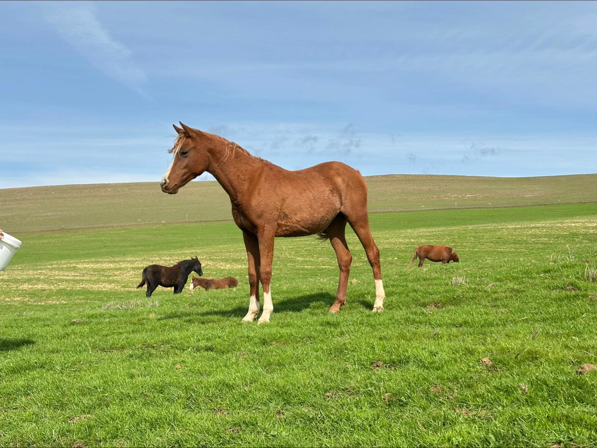 @MakvinStud