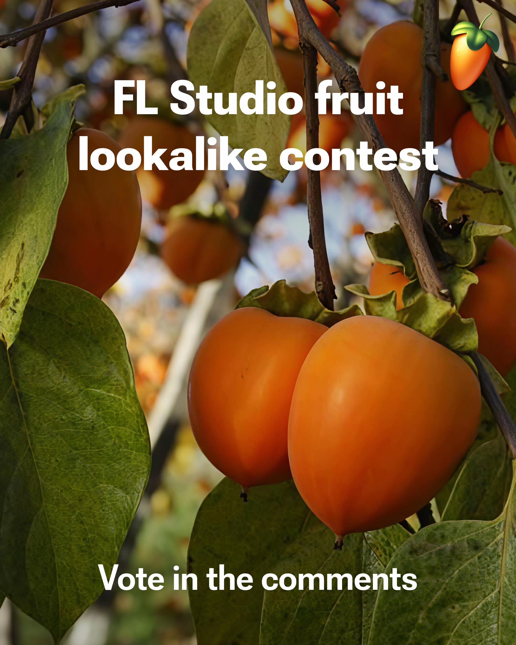 @FL Studio