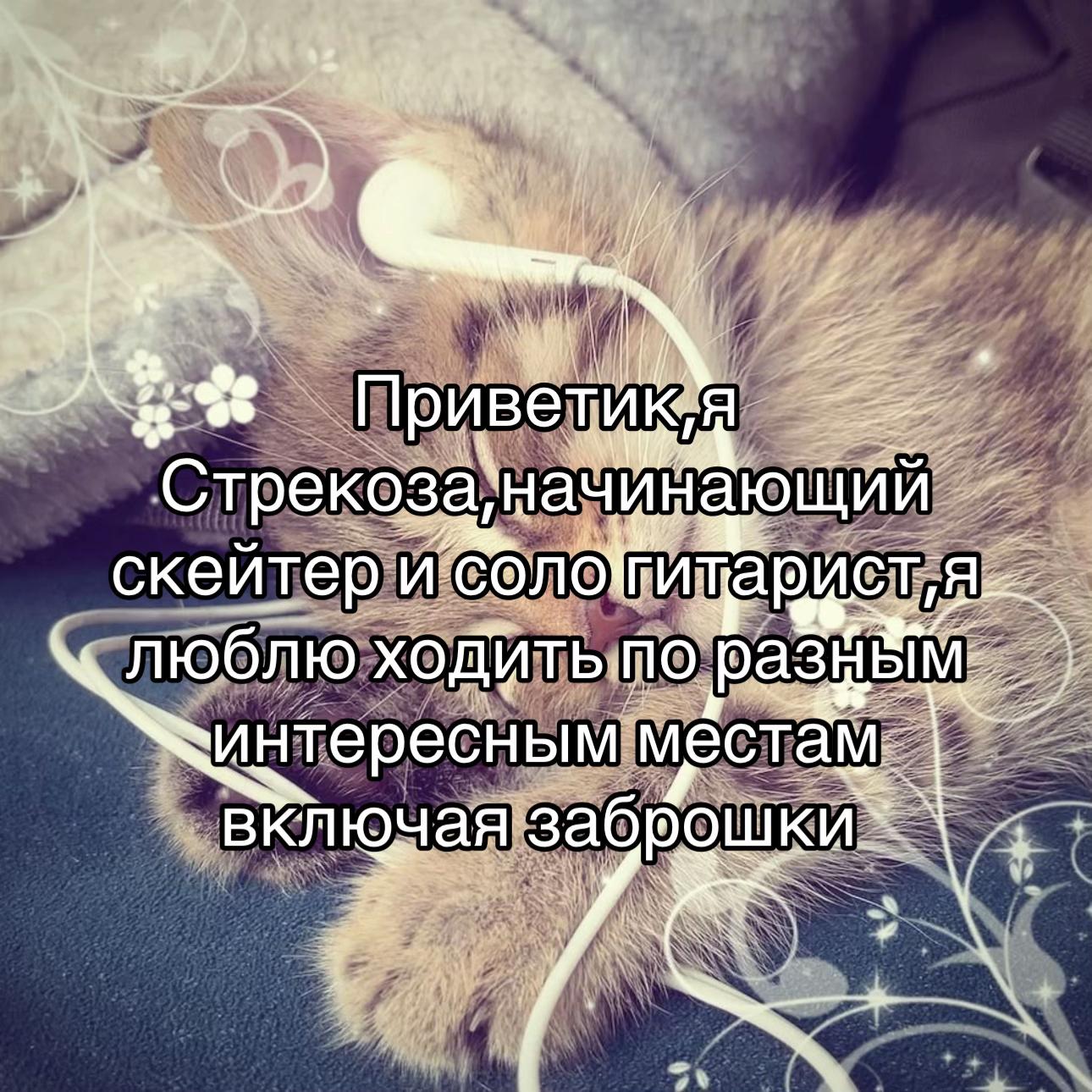 @Баранина🐑
