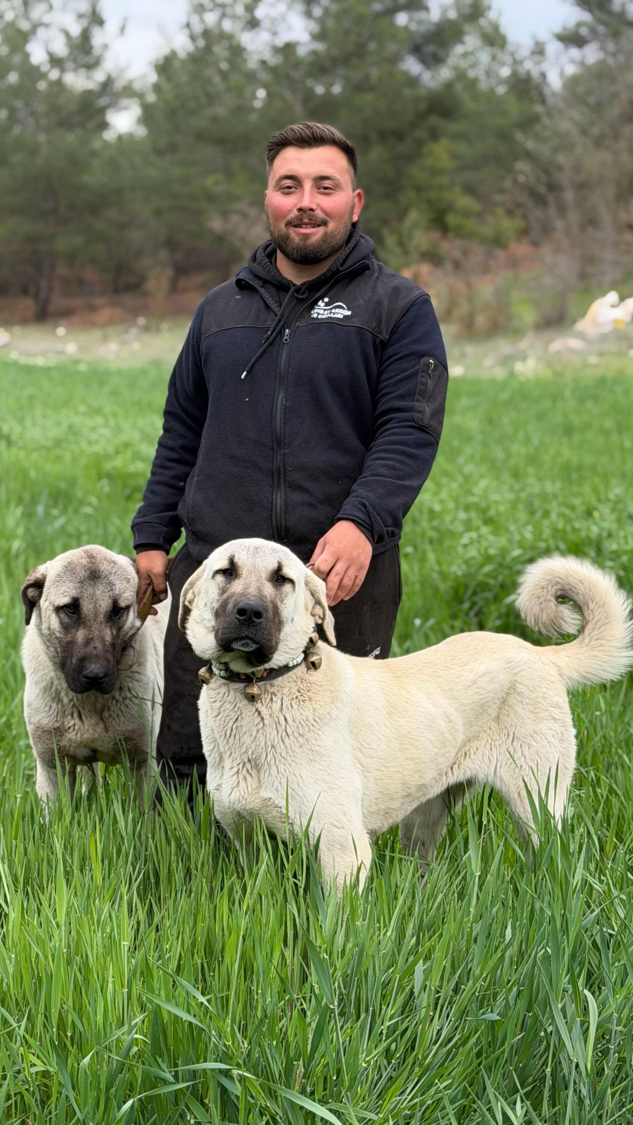 @Emre &Ccedil;&uuml;men 