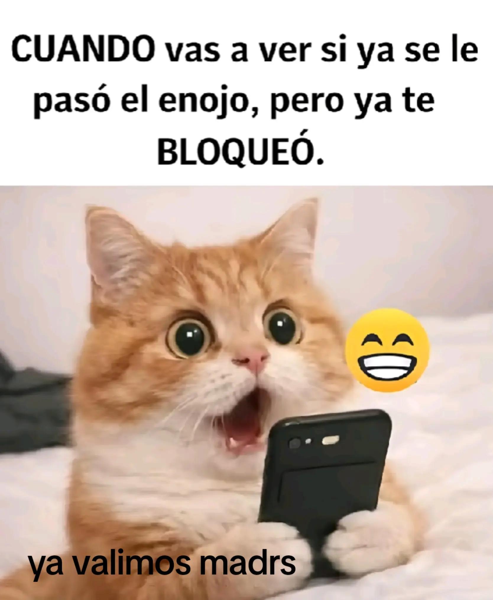 @linda Estrellitac
