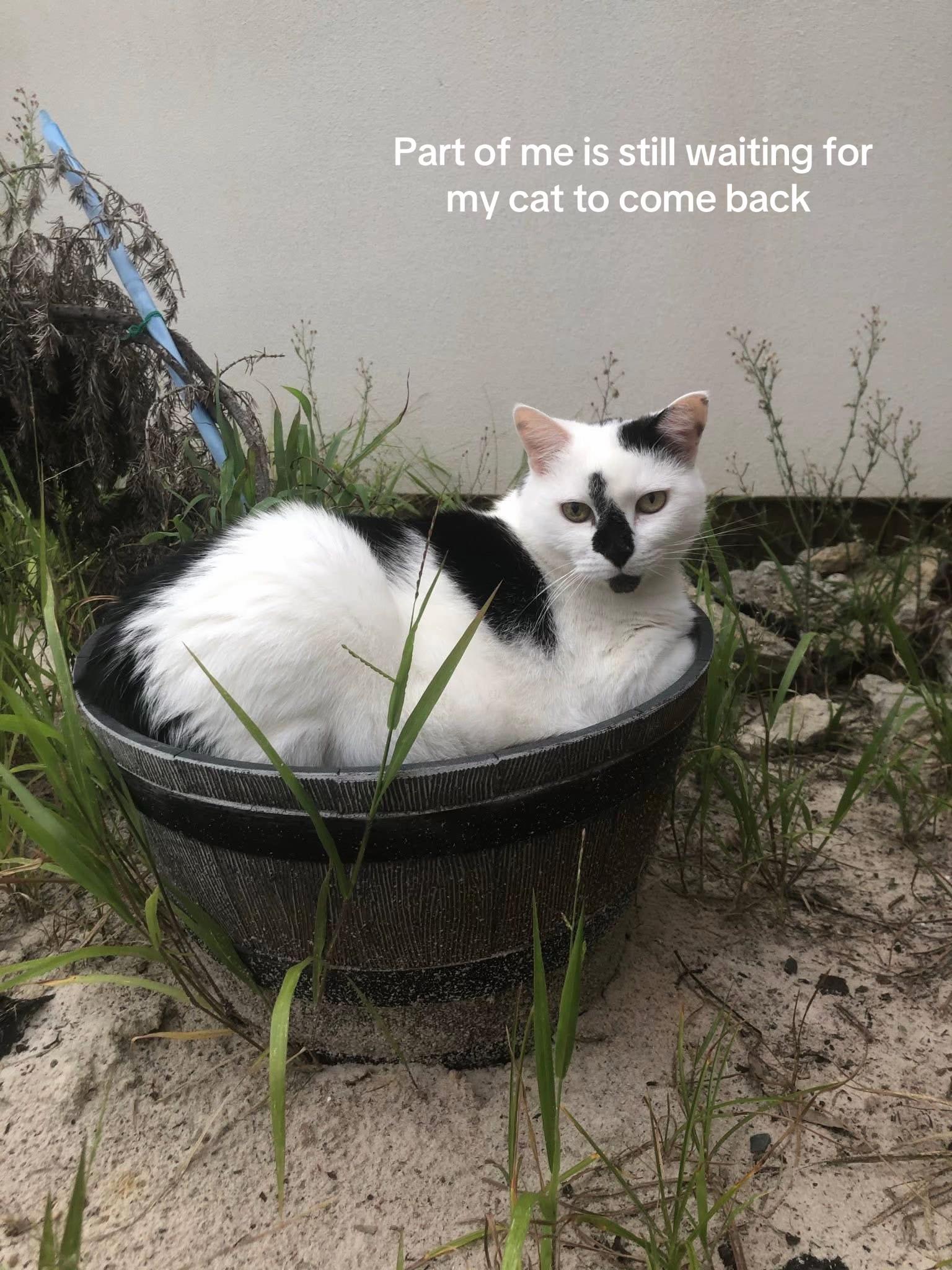 @shakirra.irl