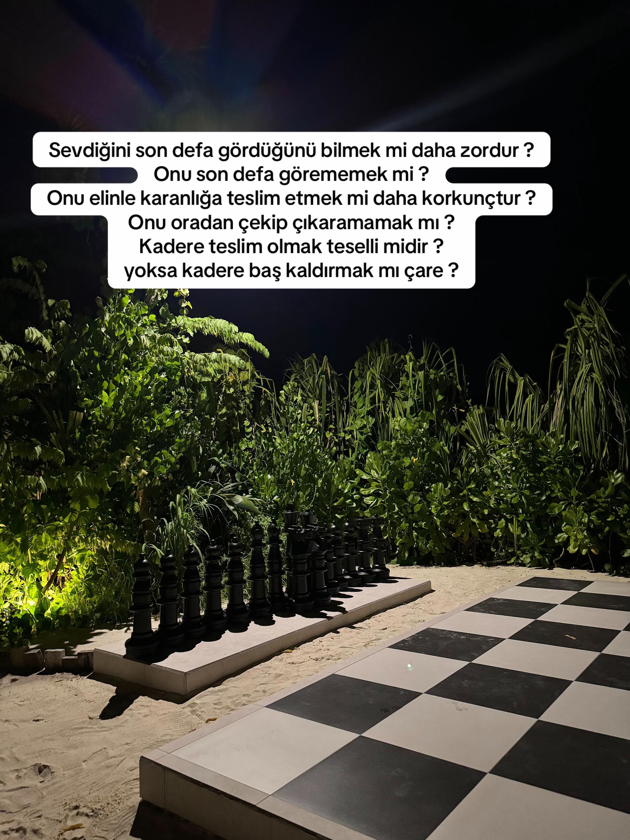 @Hasine Çelik
