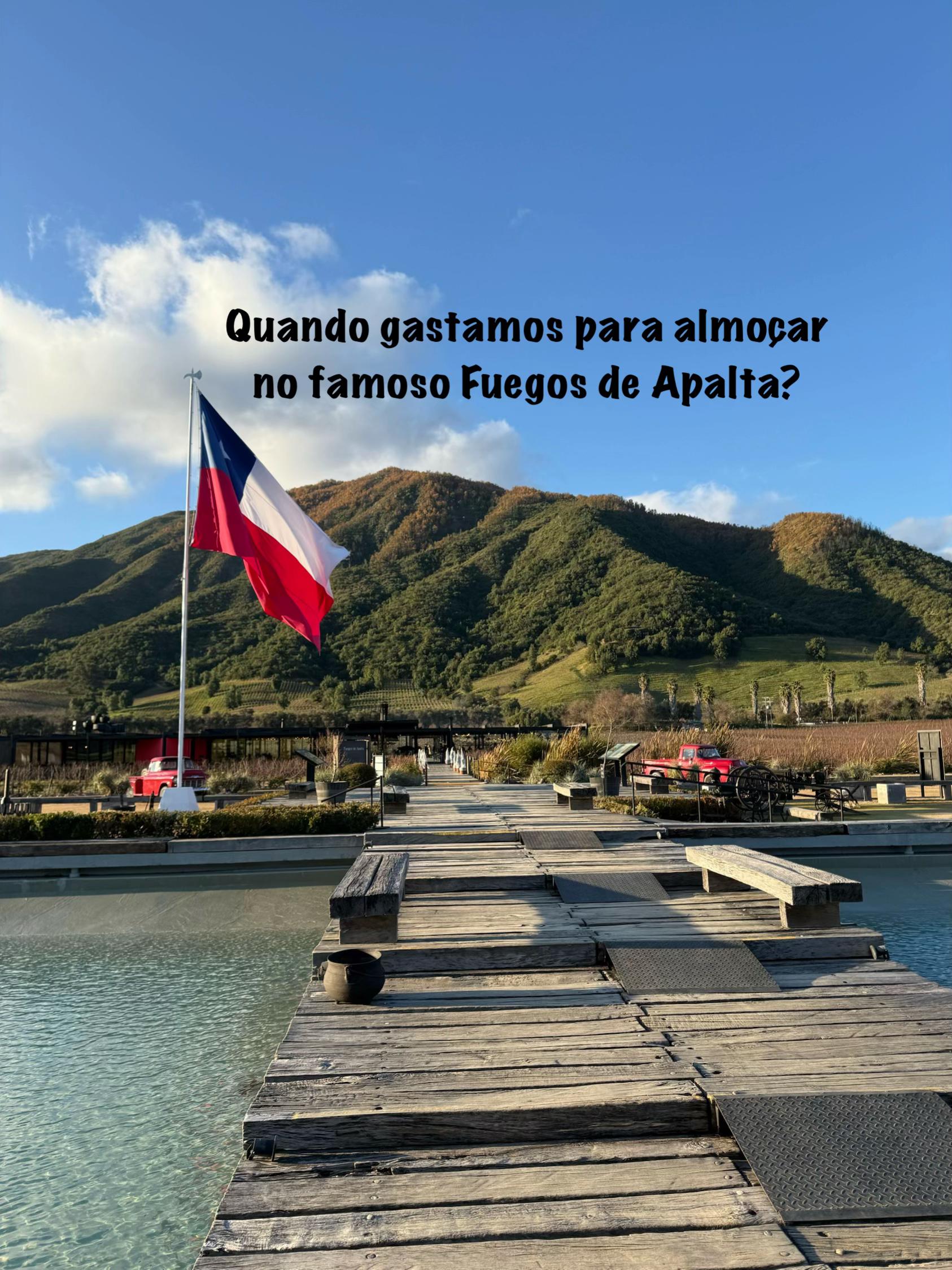 @NinaNoChile