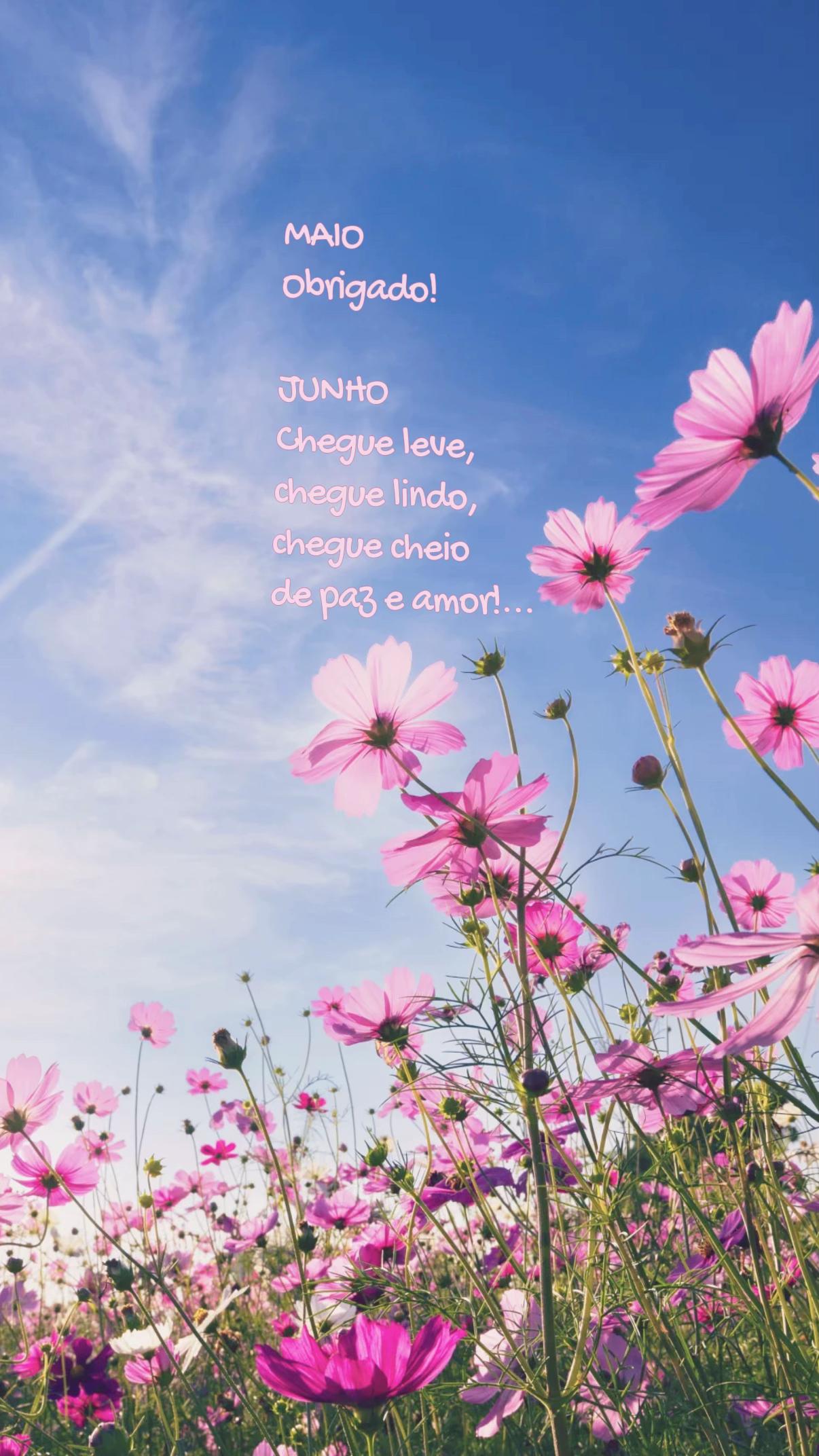 @D&Eacute;BORA🐝