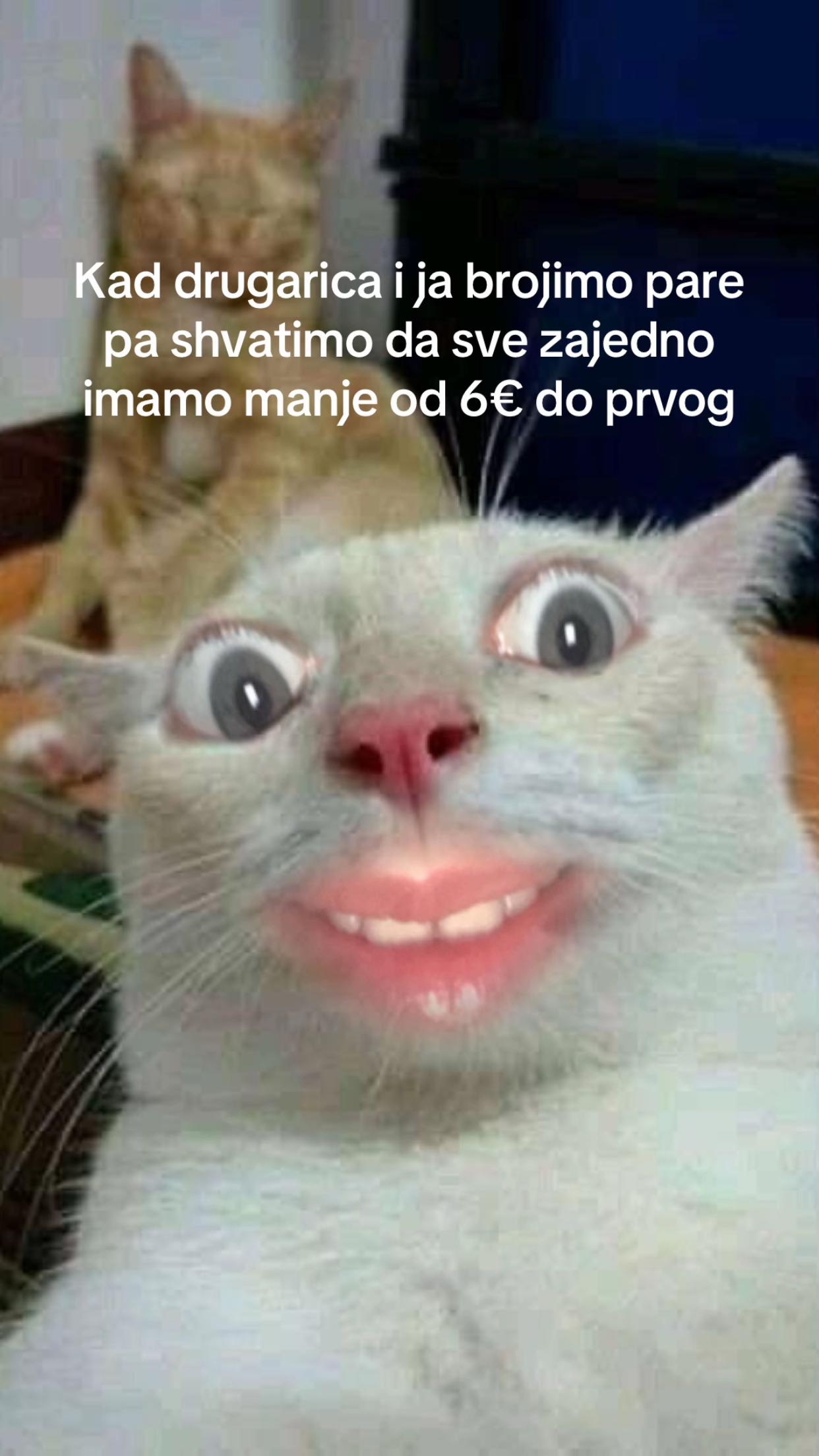 @plavaiplava