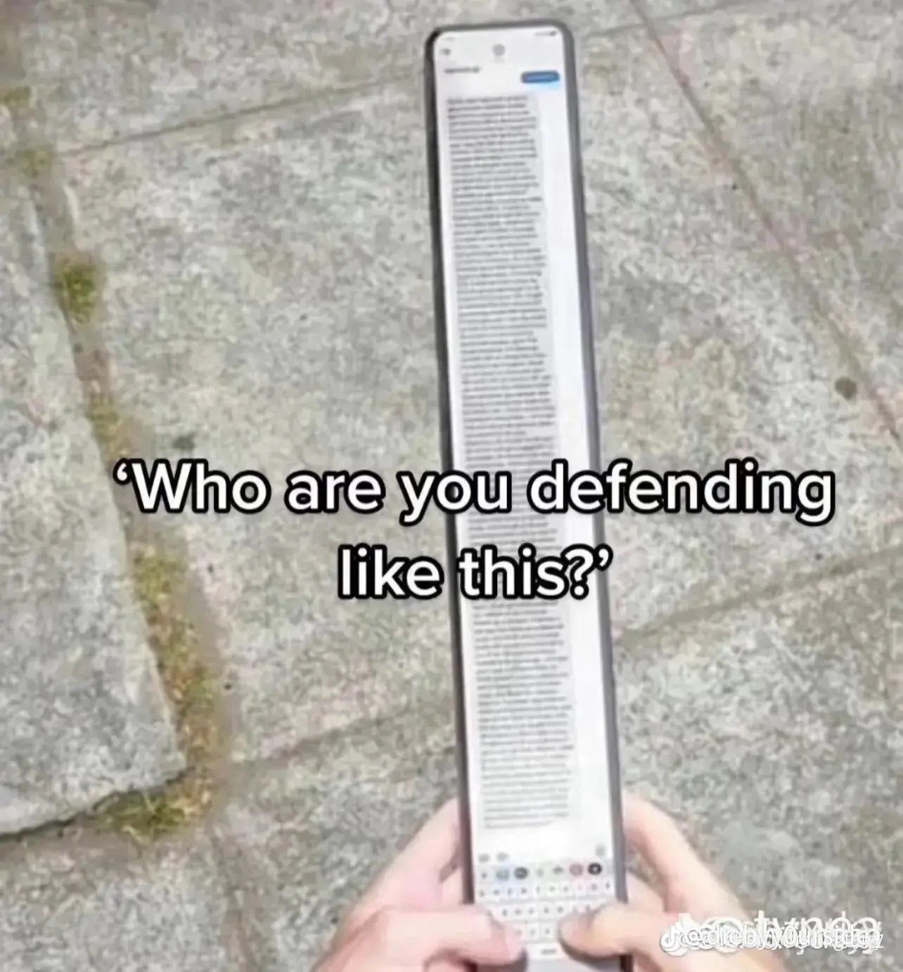 @🪿