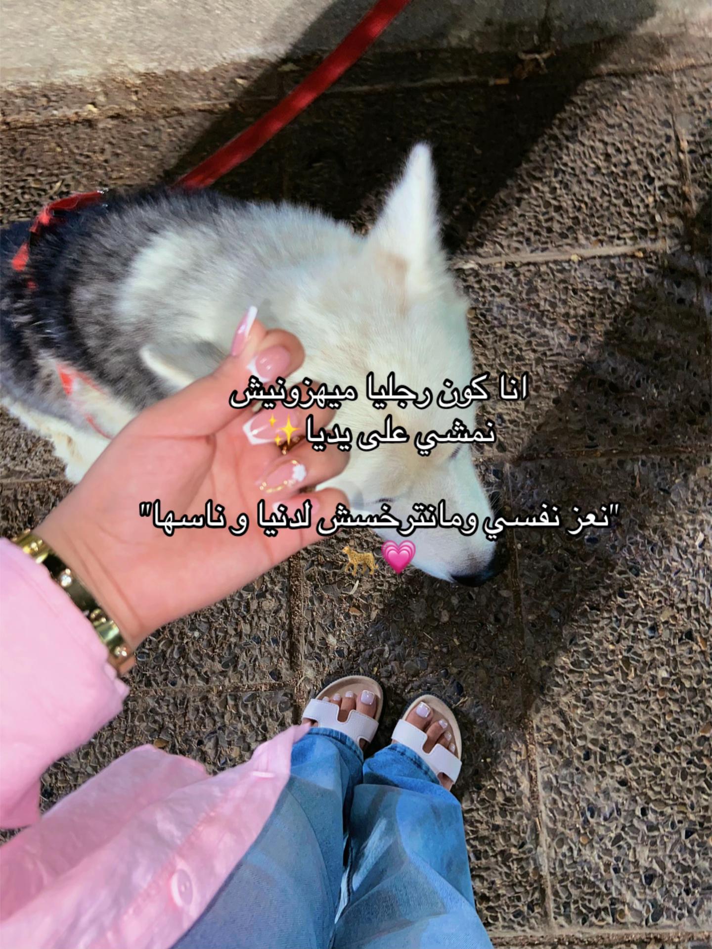 @🕊️