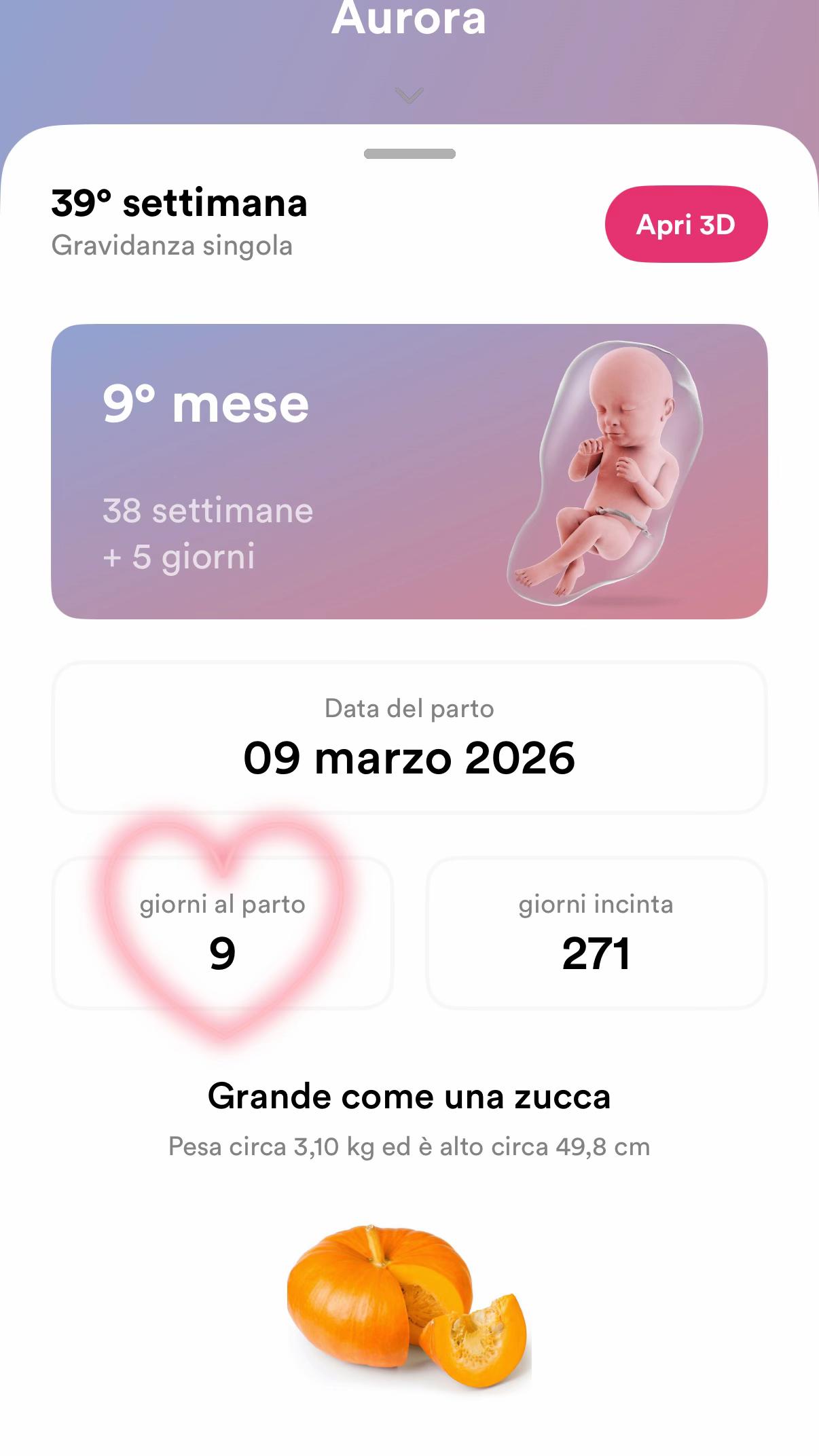 @🌻Letizia Ferrara🌻