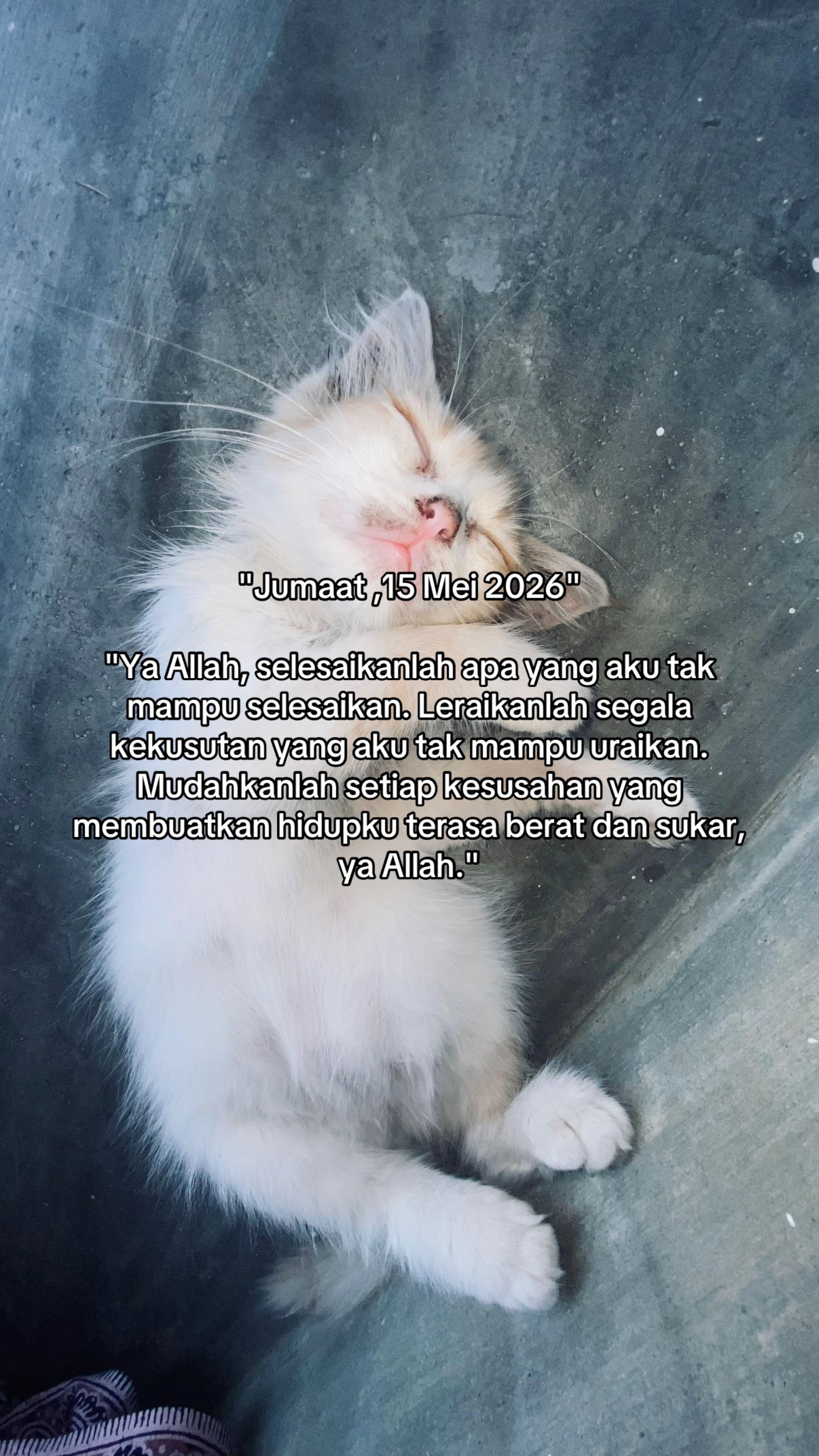 @ᴛᴇɴᴛᴀɴɢ ʜᴀᴛɪ