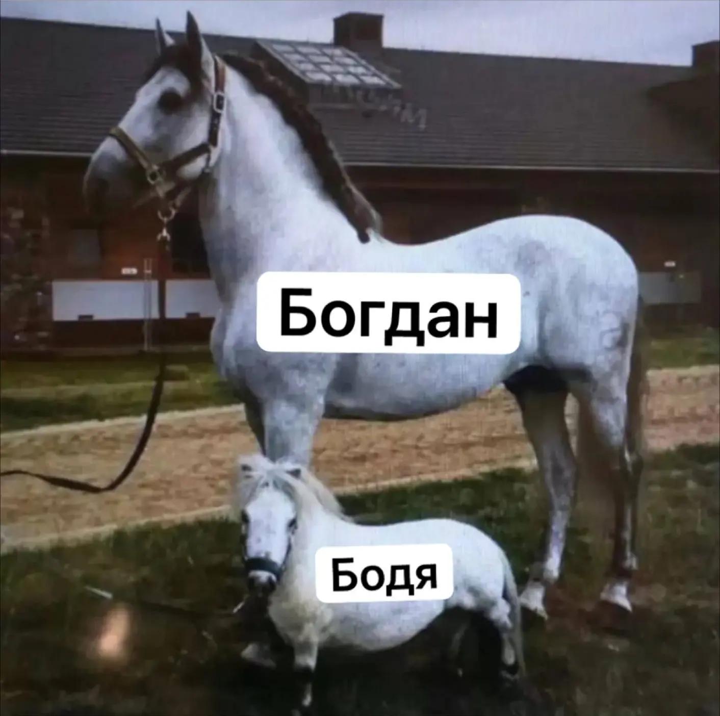 @Forti