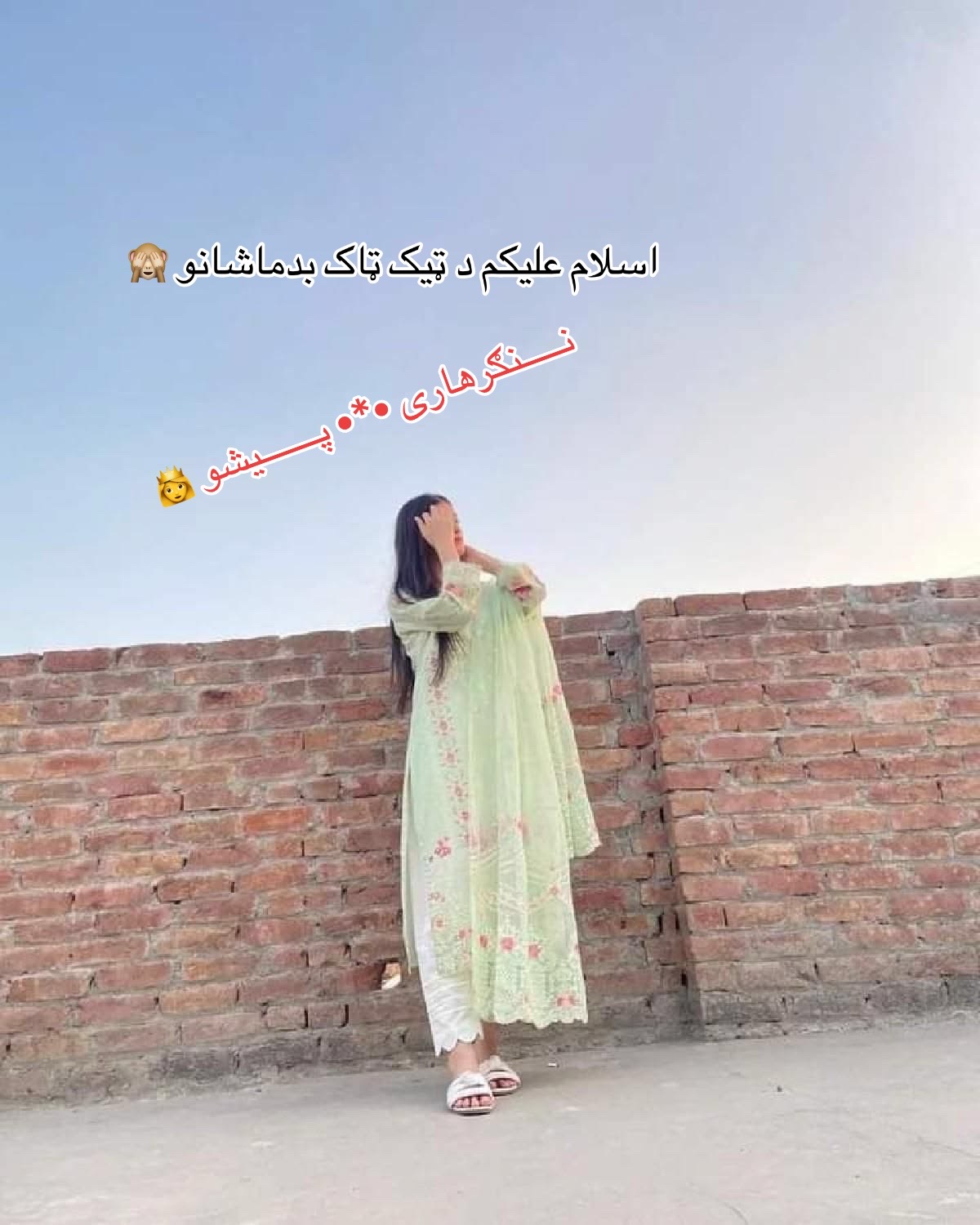 @ننګرهاری ☆♡☆ پیشو ☆♡☆