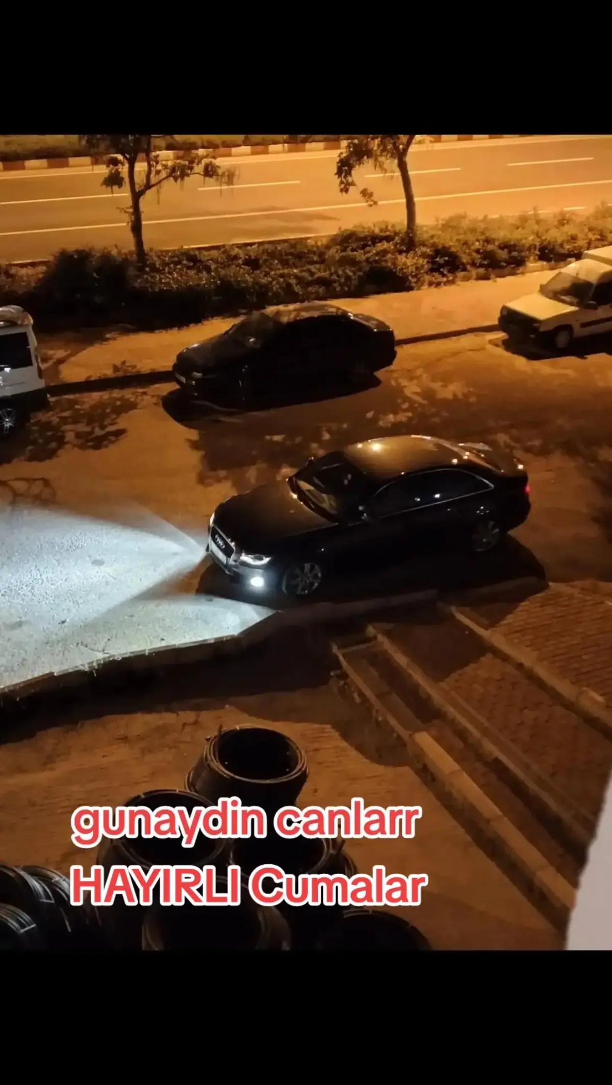 @Fahriye Güel