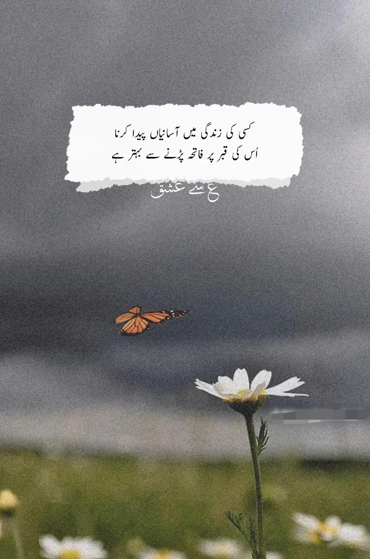 @mohsin😎😎