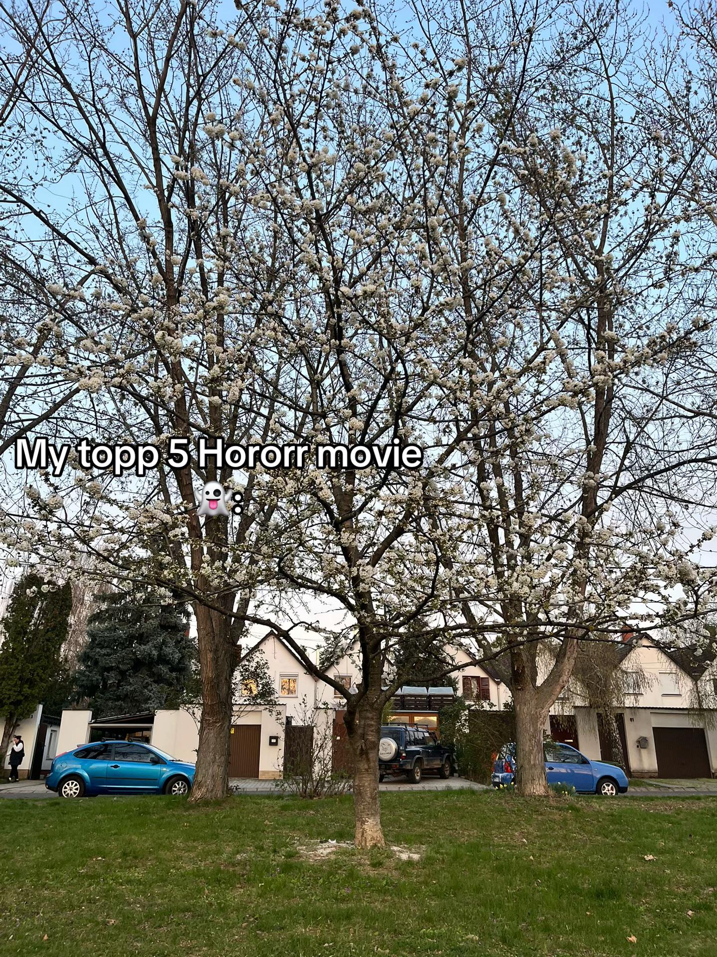 @𝐯𝐚𝐧𝐞𝐞𝐬𝐡𝐡_
