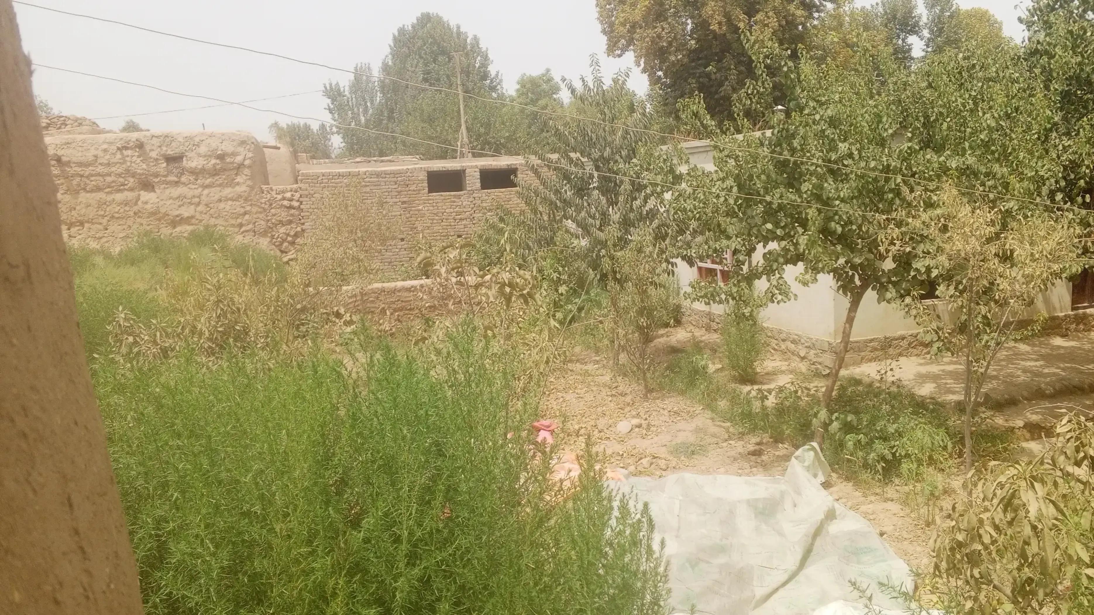 @Mesut Safariمسعود.صفرای