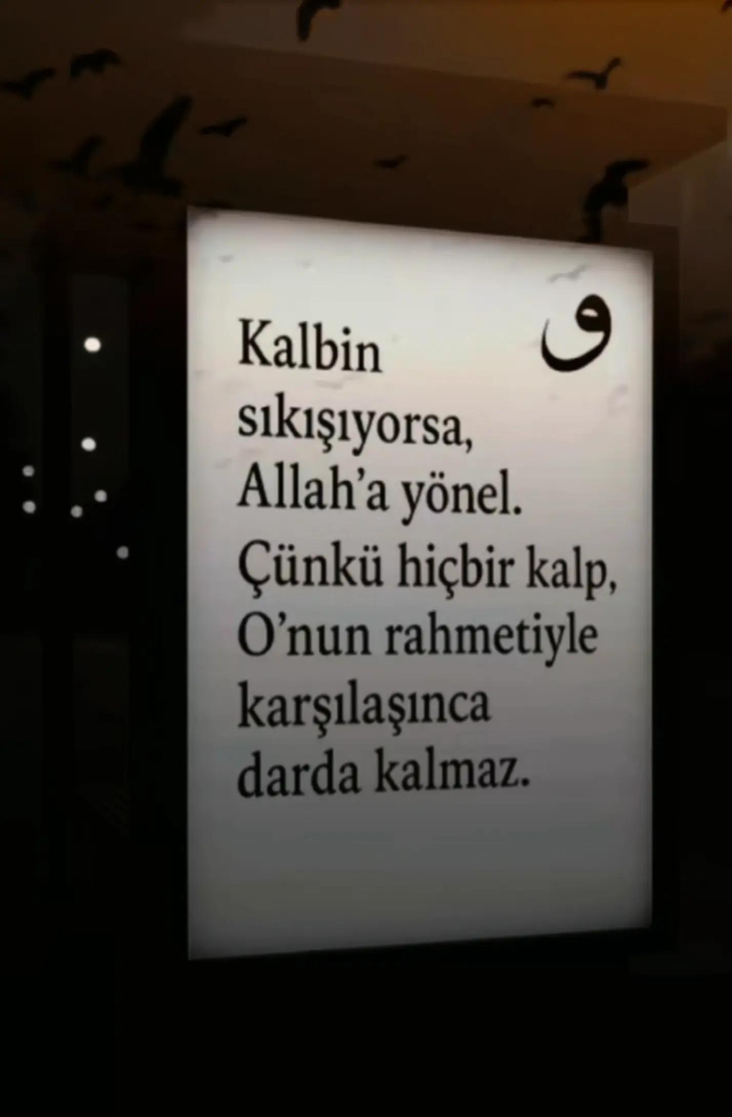 @Ferdi Uçar