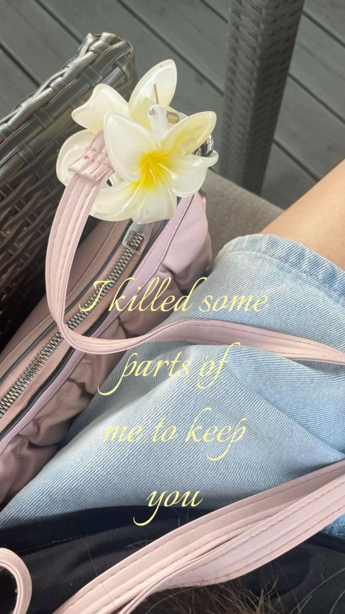 @ciela