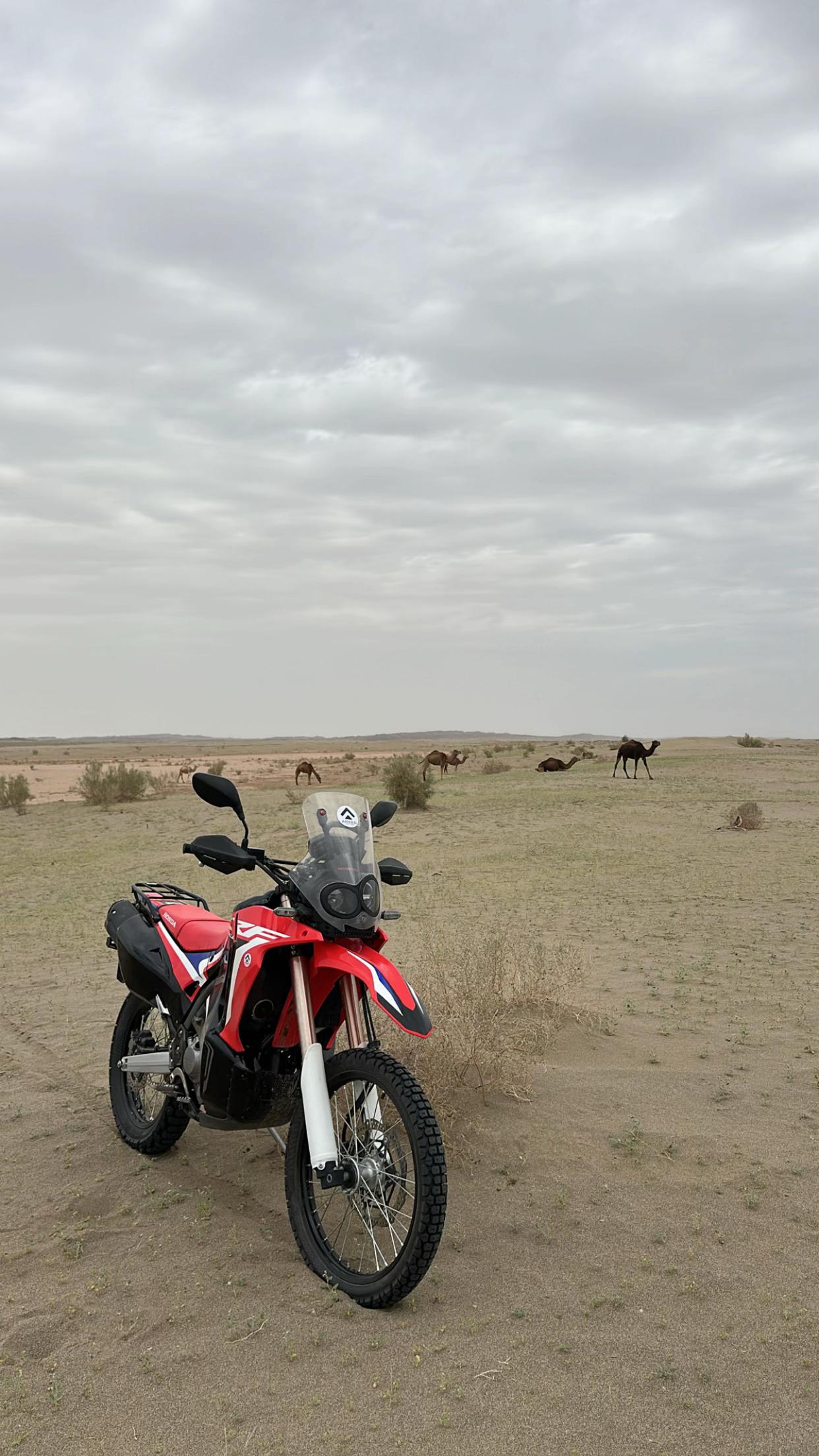 @بلوچستان عشق است 🐪🏜️🪶
