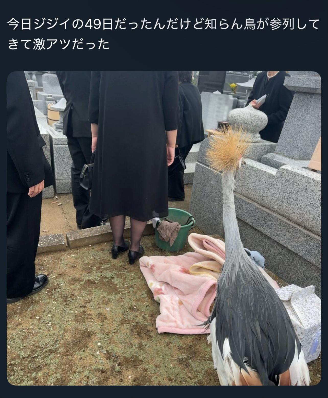 @かしも