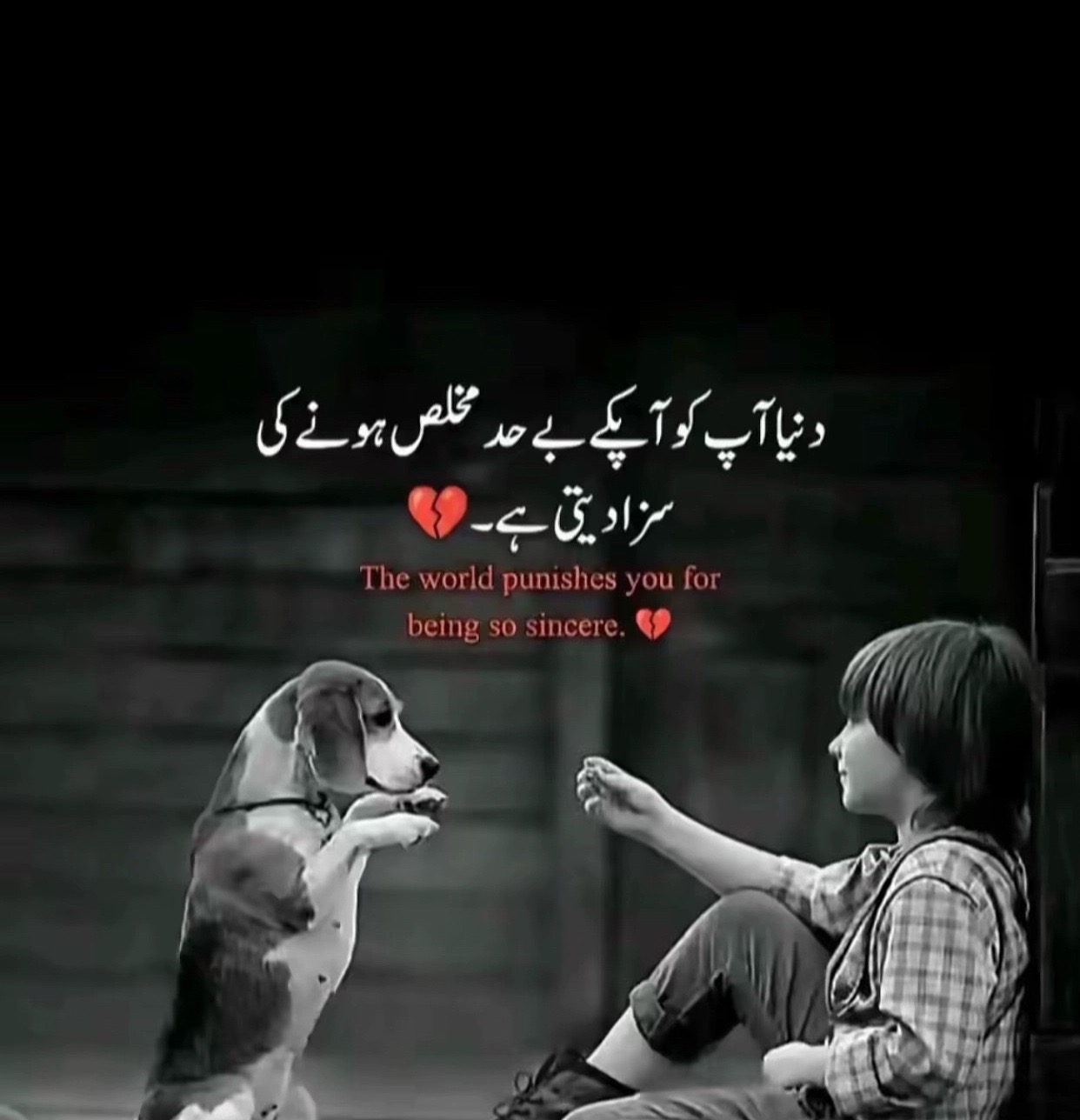 @حسنین روڑو آلہ 🥂🖤