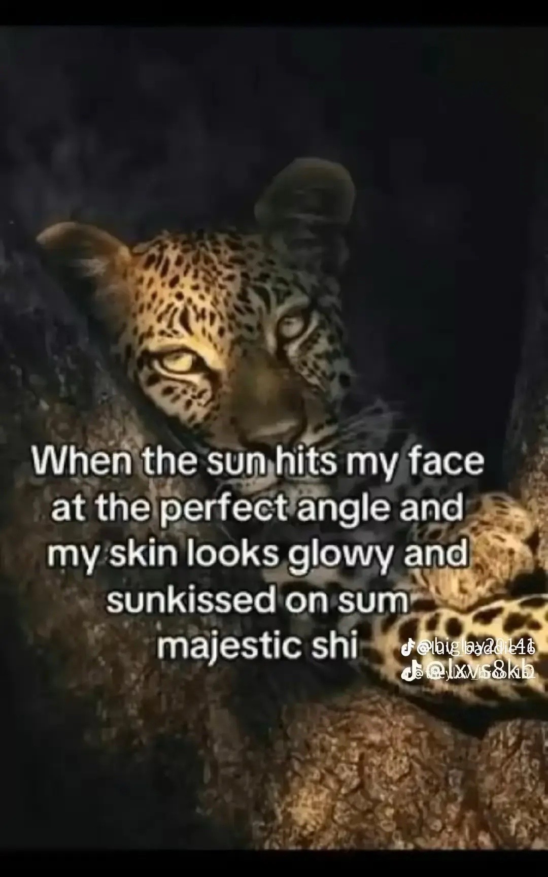 @MyShaylaaa