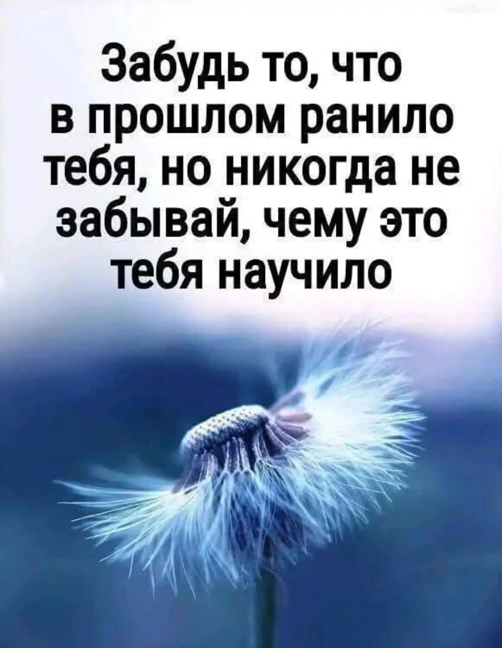 @erjan_talas