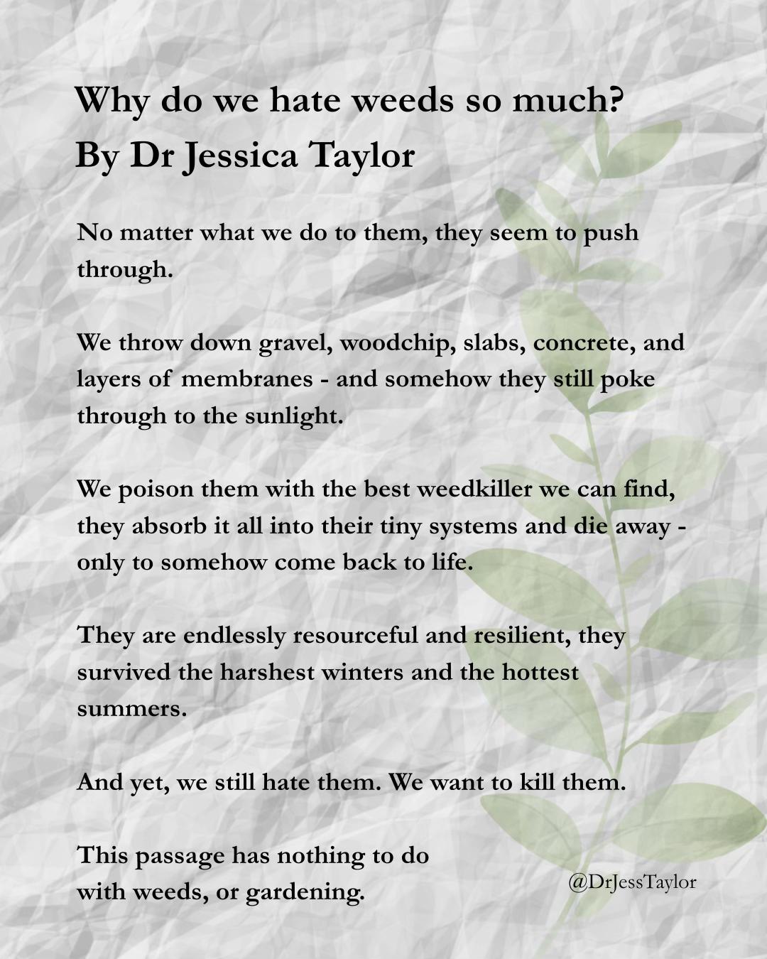 @Dr Jess Taylor