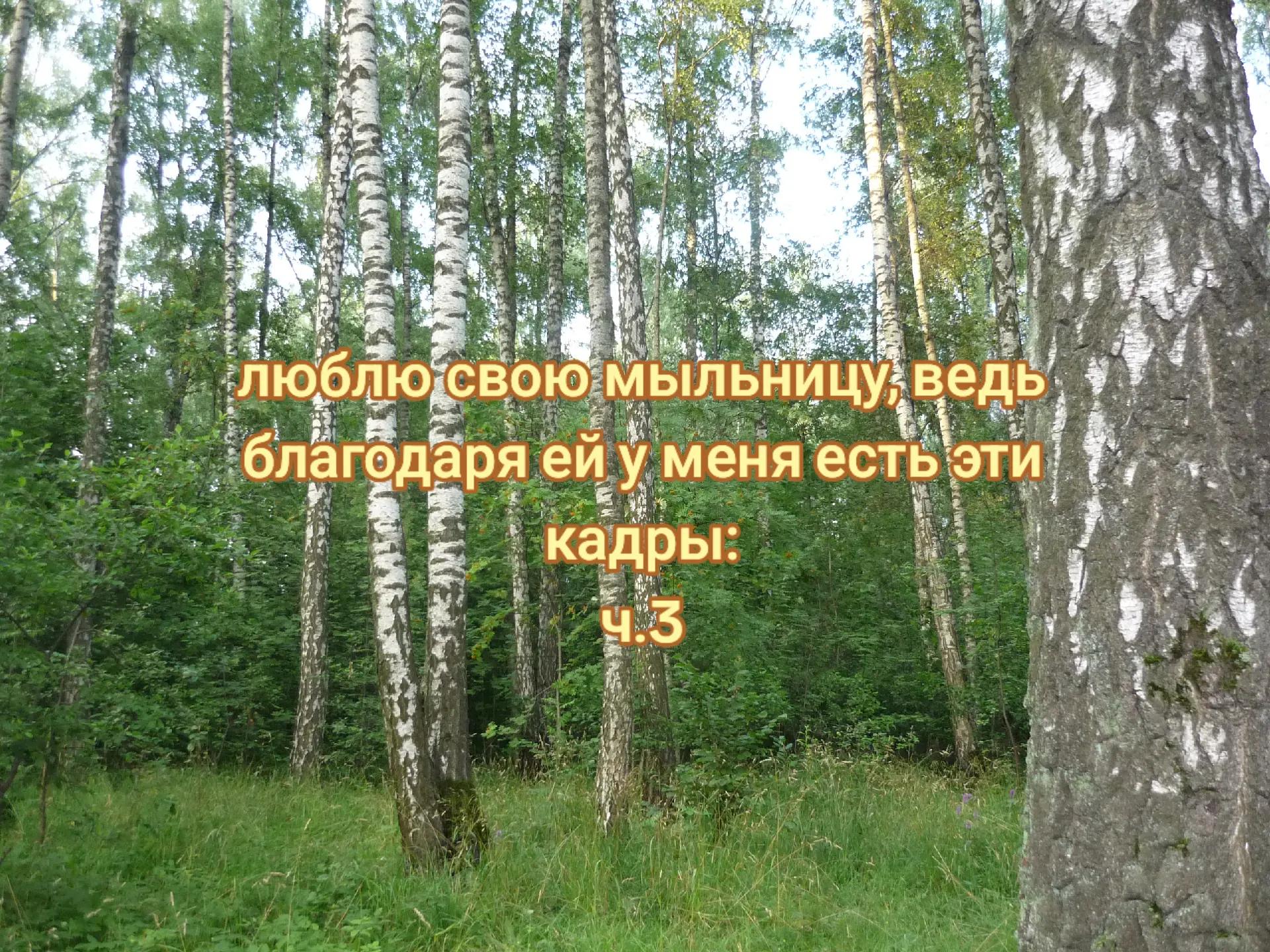 @мяша