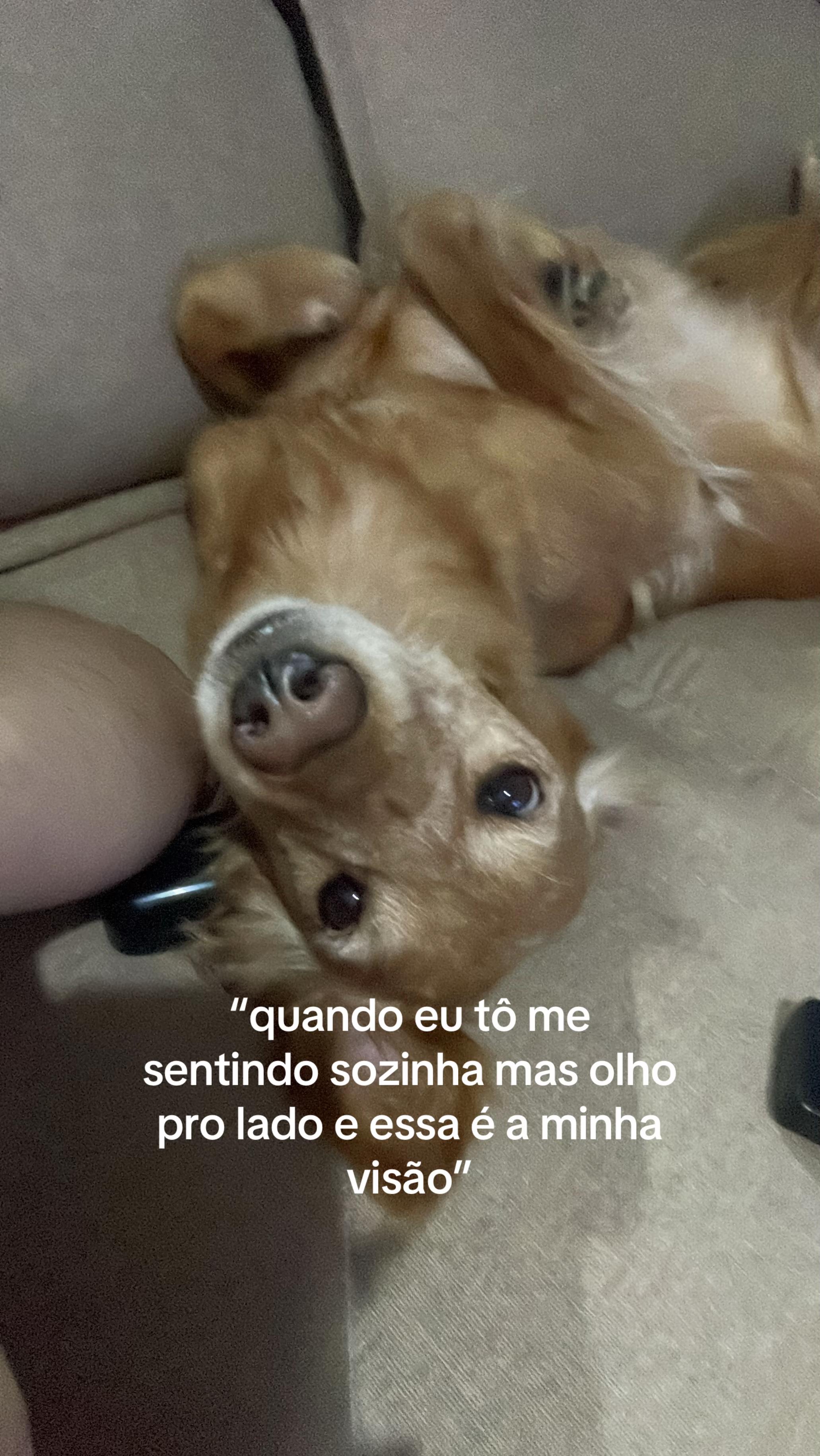 @Agatha Lemos
