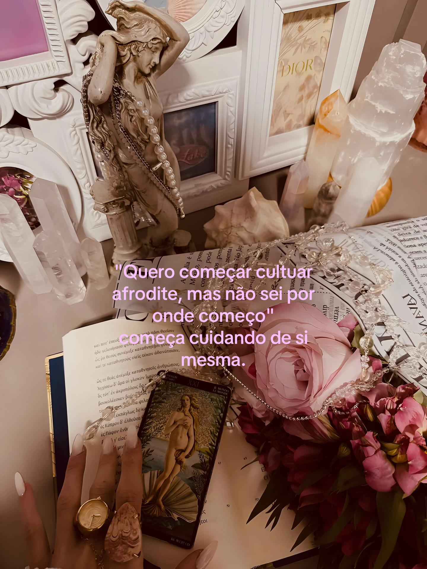 @VENUS ⋆˚꩜。