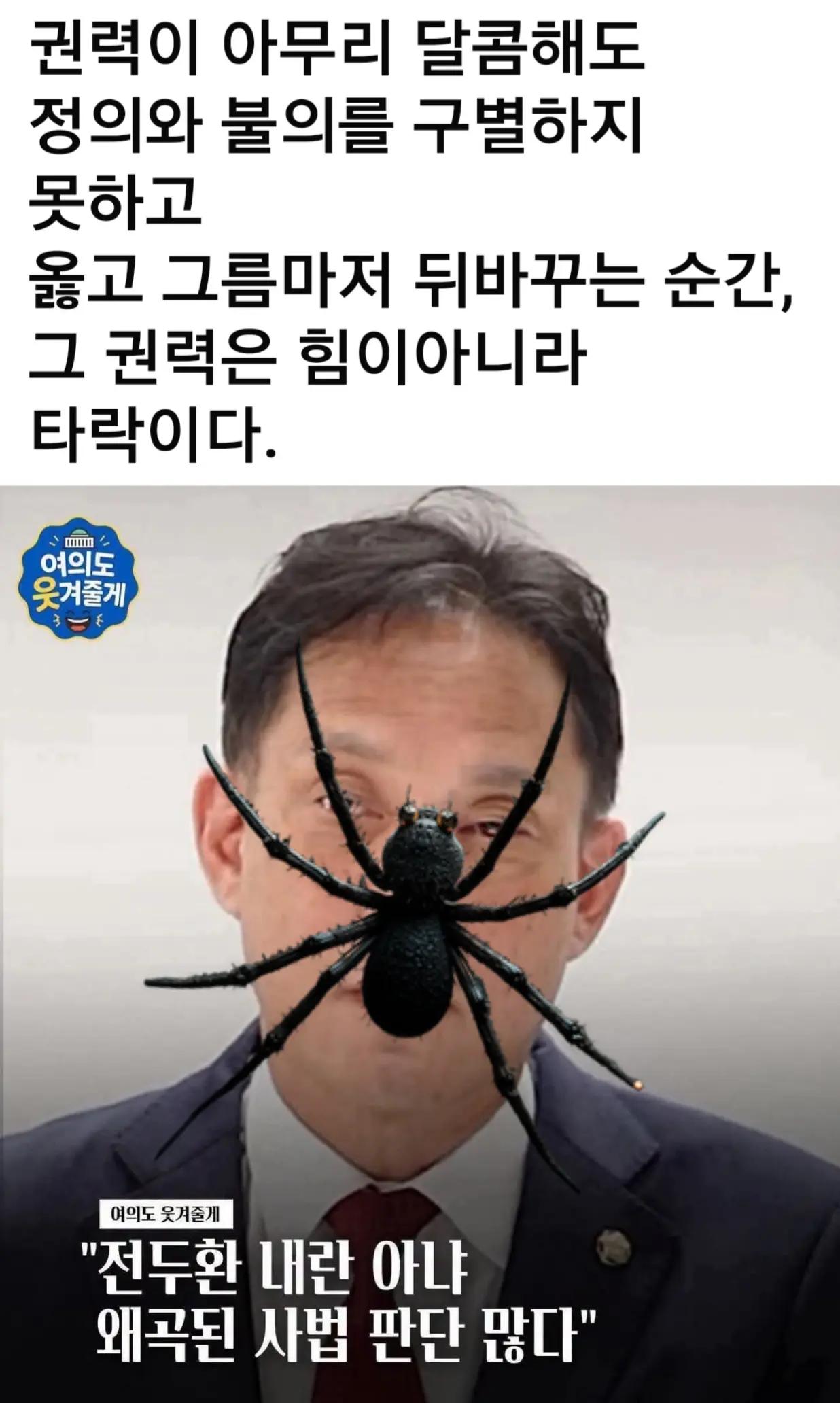 @🌺시라소니[본]🌺