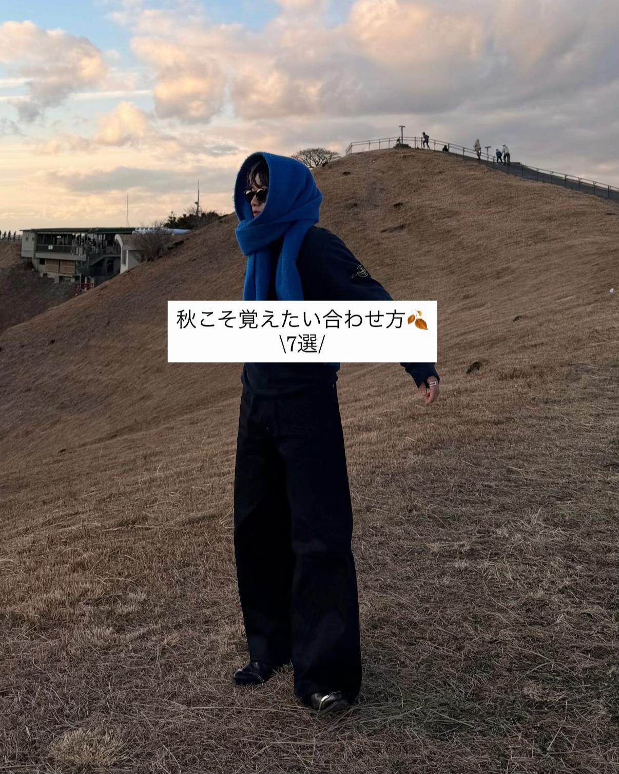 @竜聖（ダイオード）