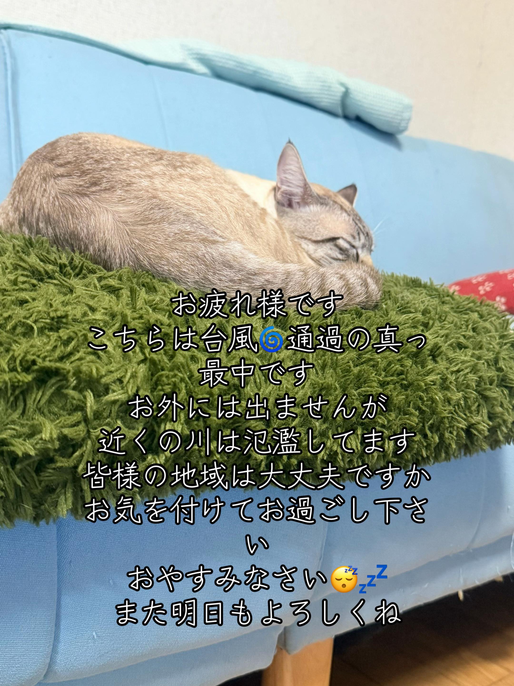 @🥀黒澤正志🥀