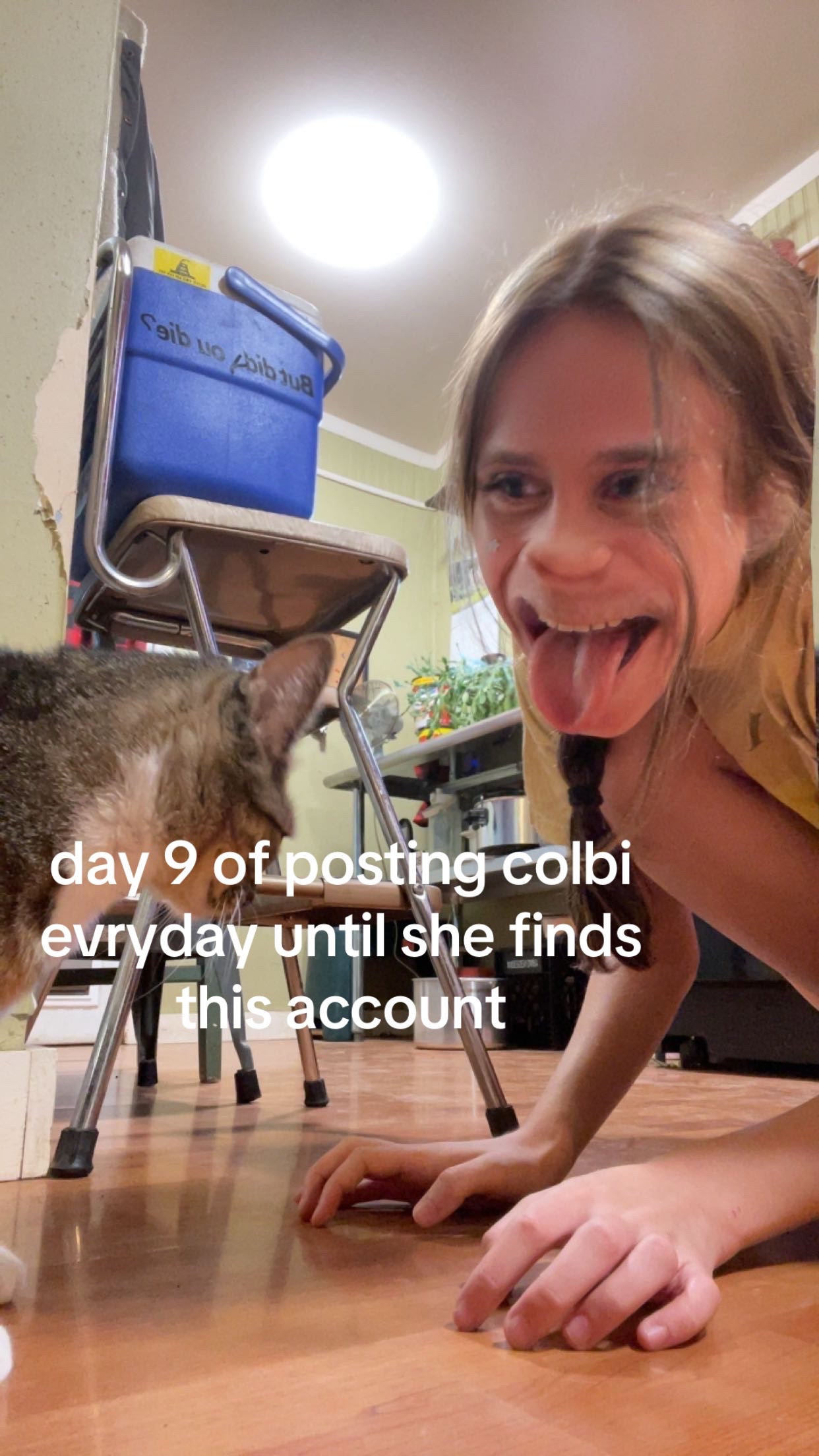 @user67676741417676