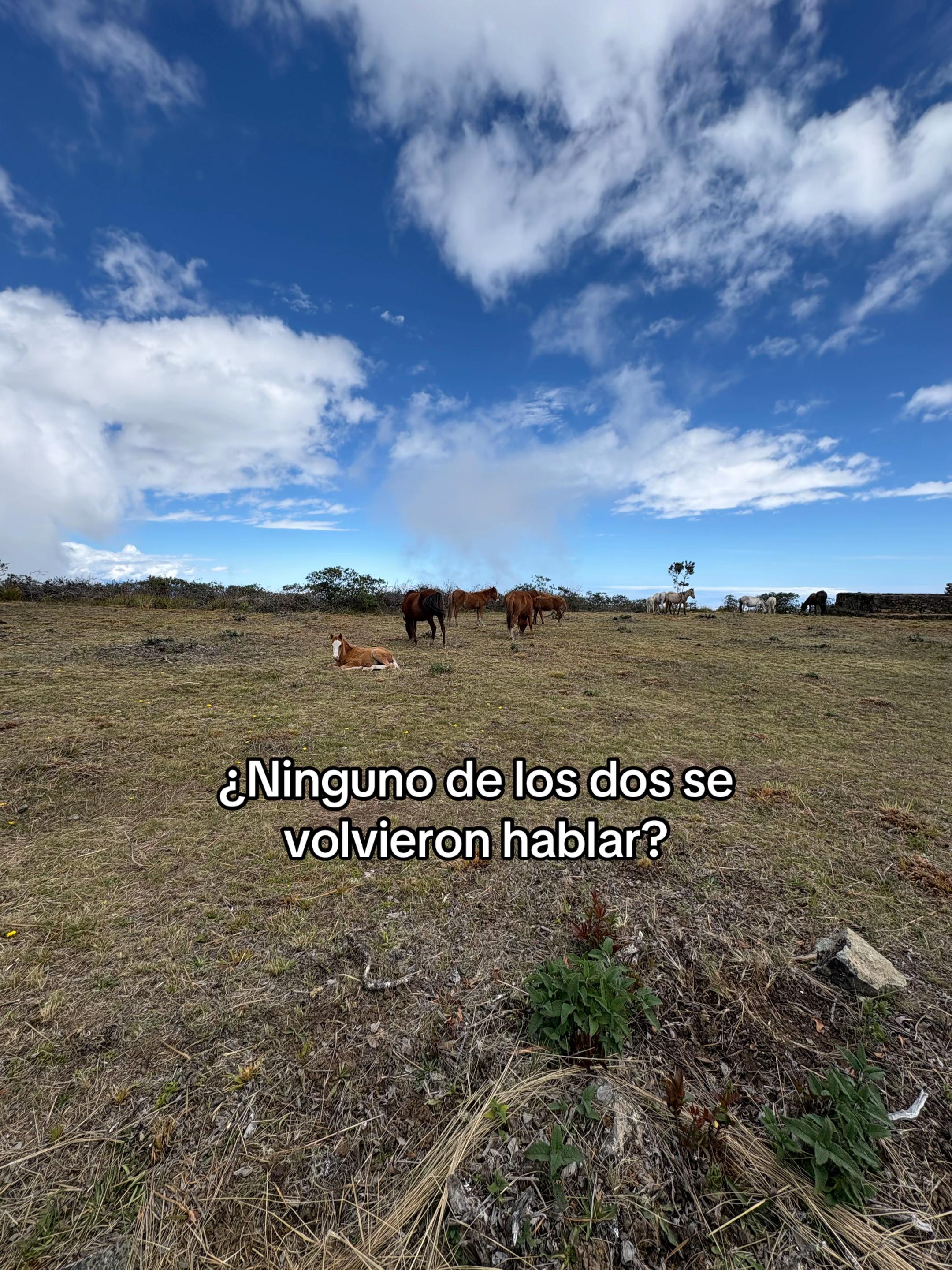 @José Antonio Rodas