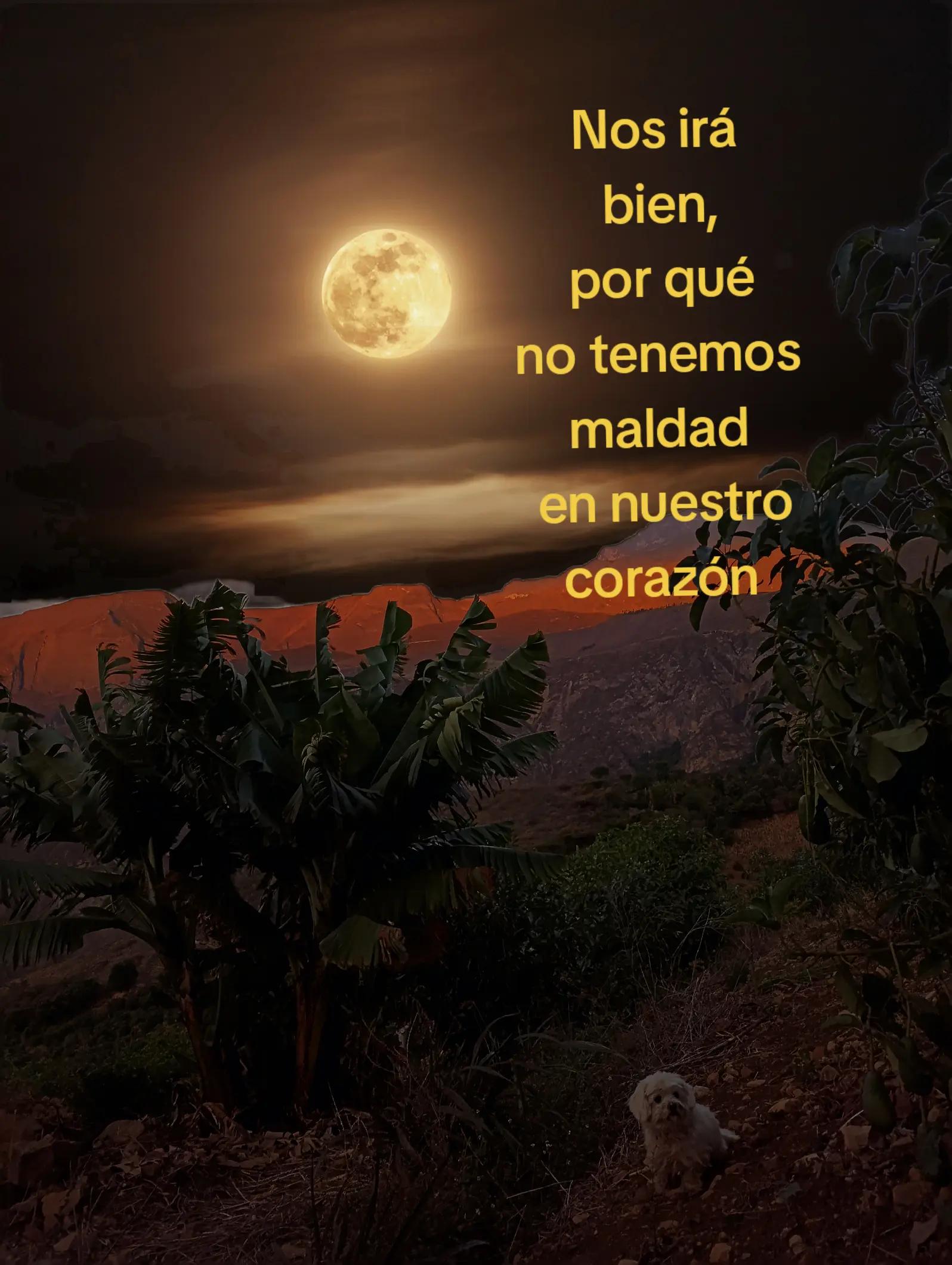 @Mxycl_¹⁰