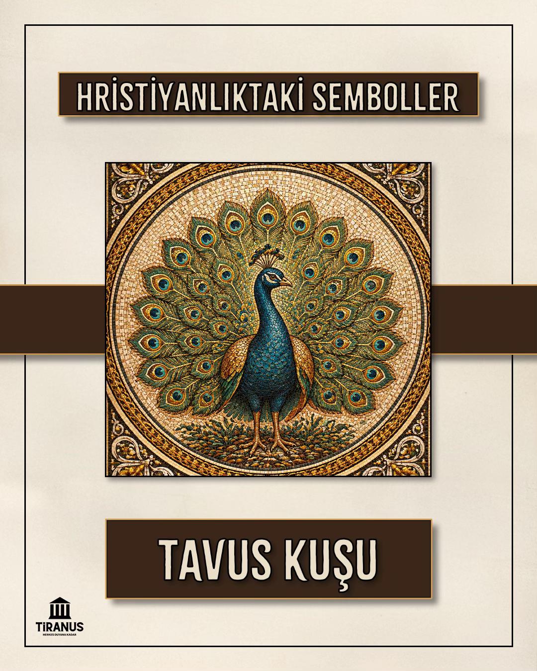 @Tiranus ✝️