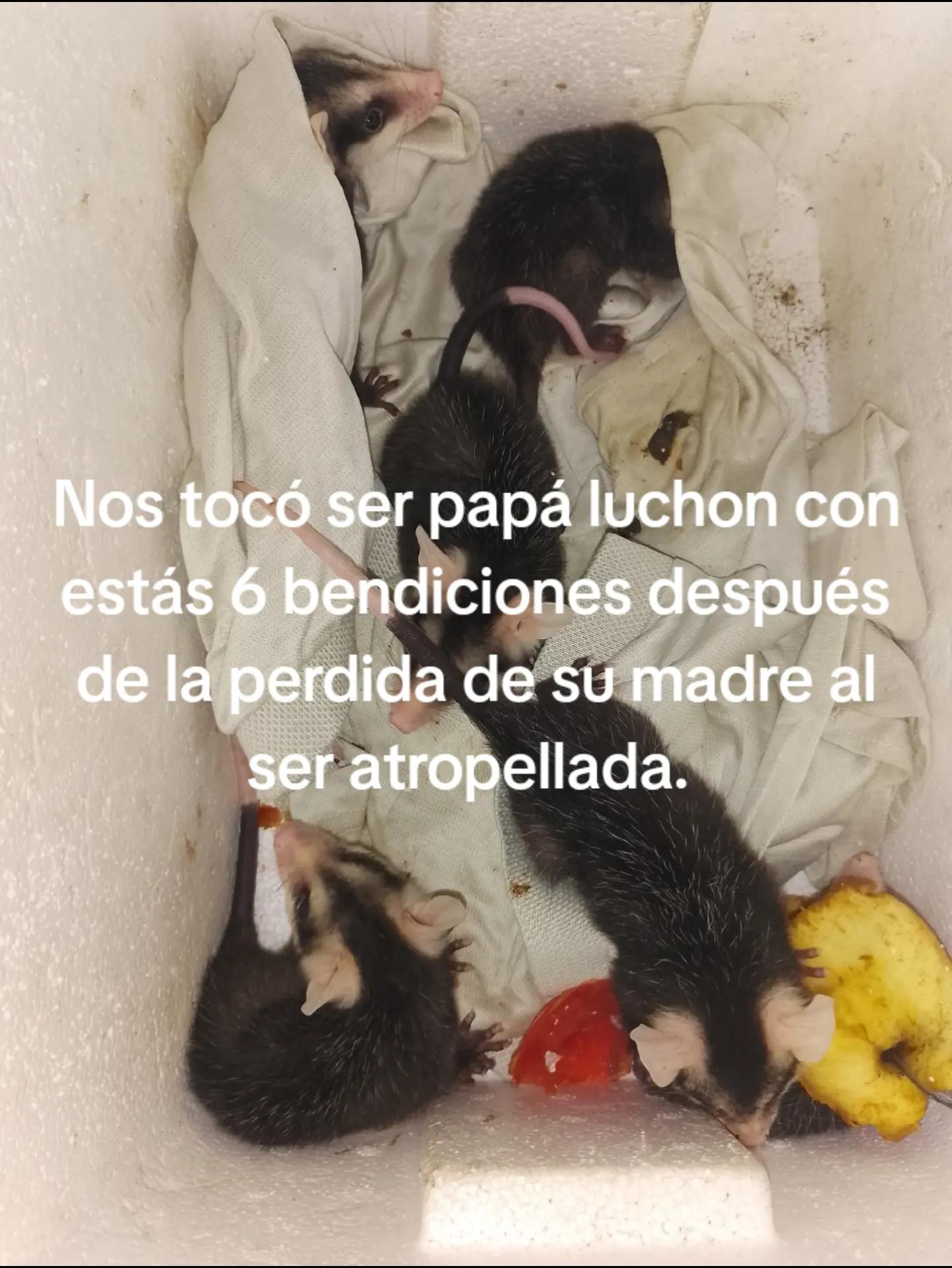 @Daniel Alba