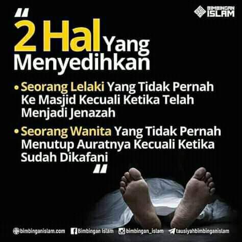 @padangzambrud