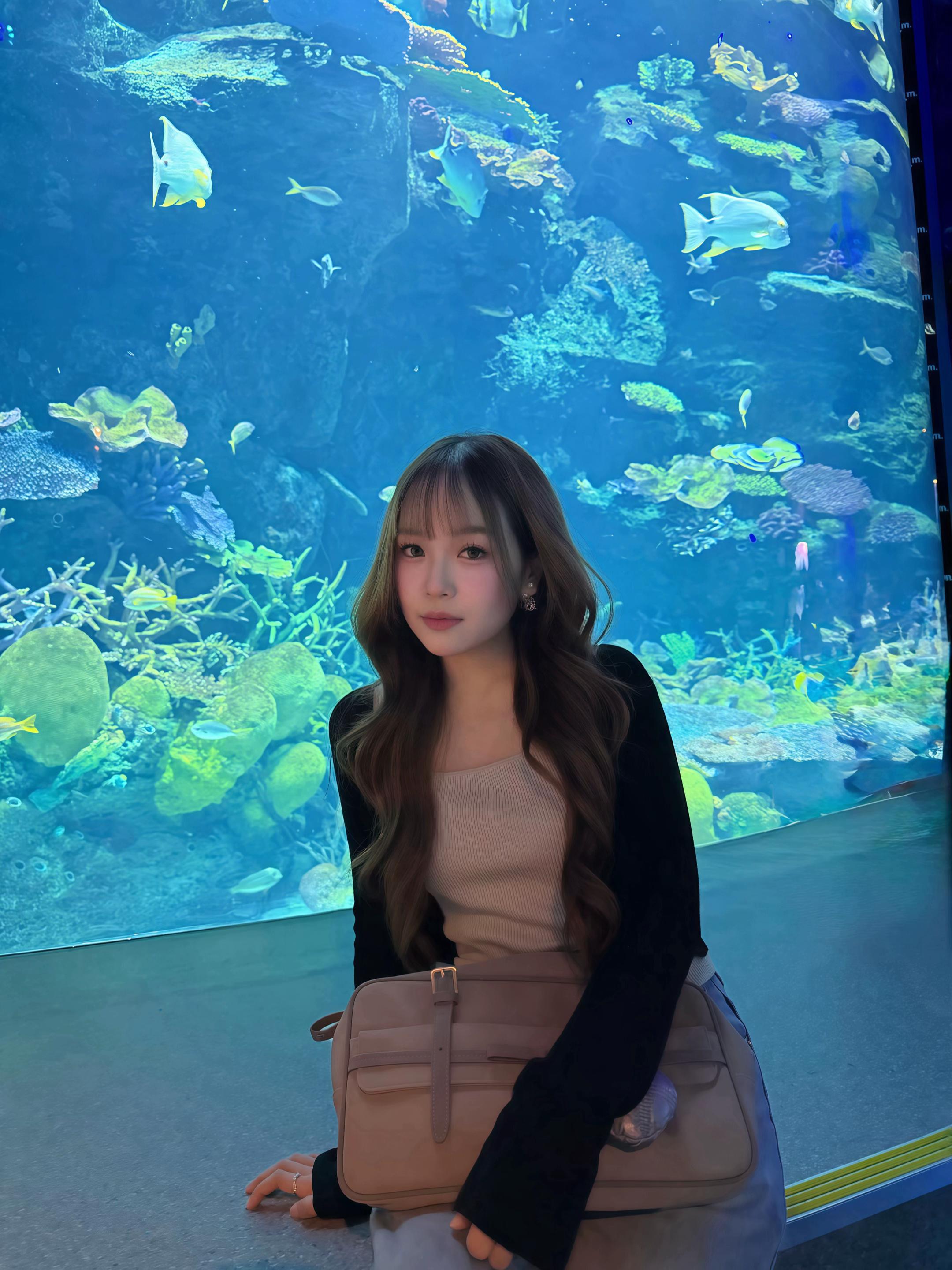 @wavisjabon