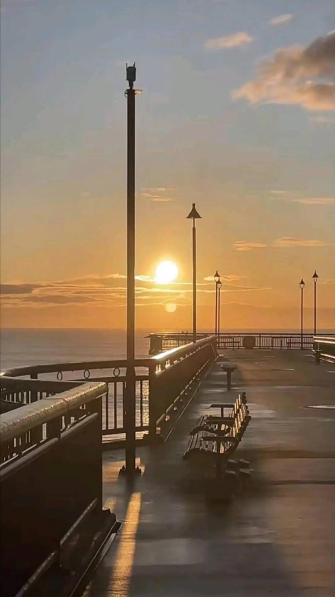 @alinmarcu327